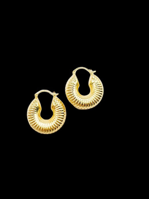 Spiral Gold Hoops