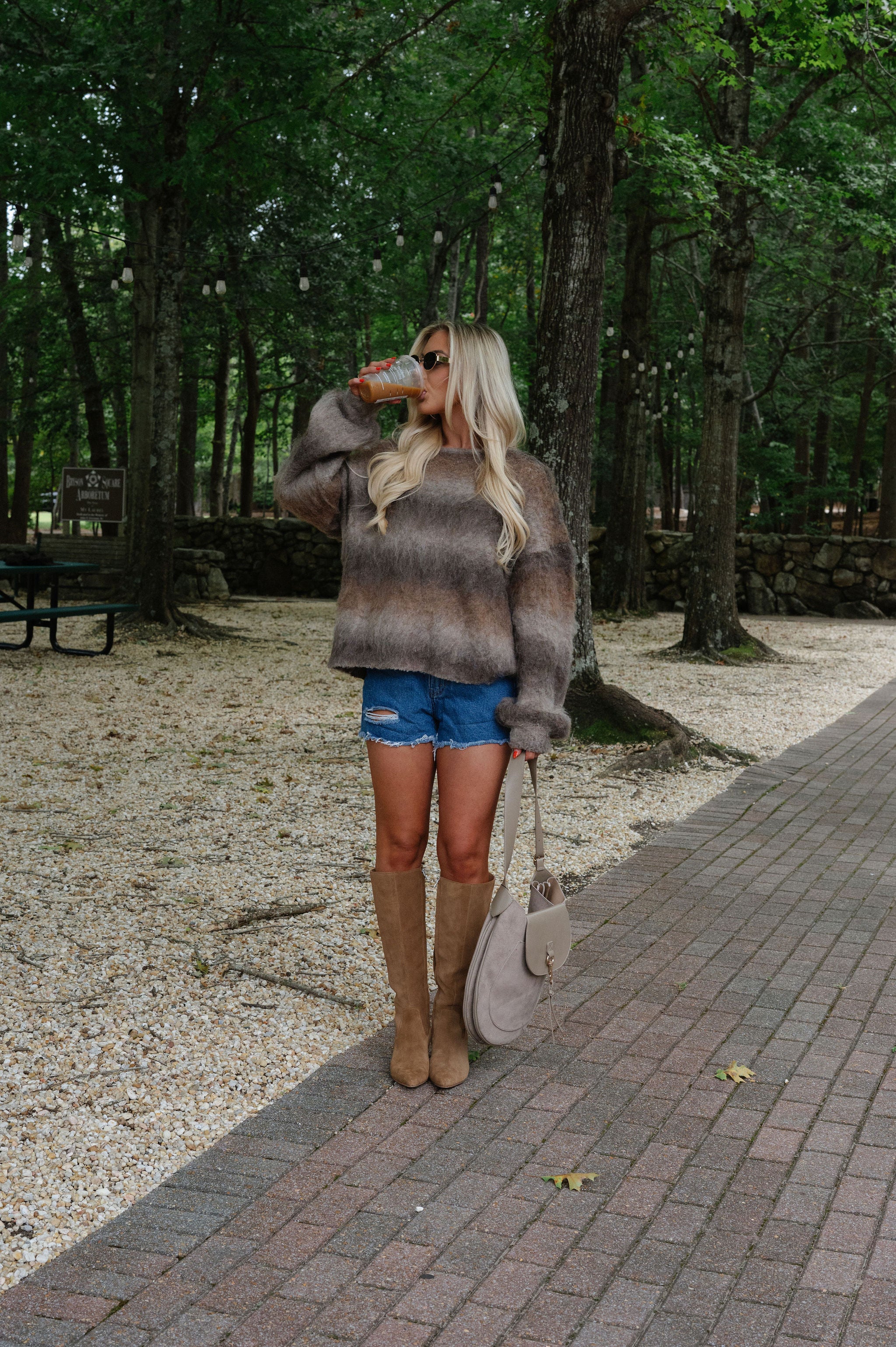 Cozy Ombre Chunky Knit Sweater-Brown/Multi