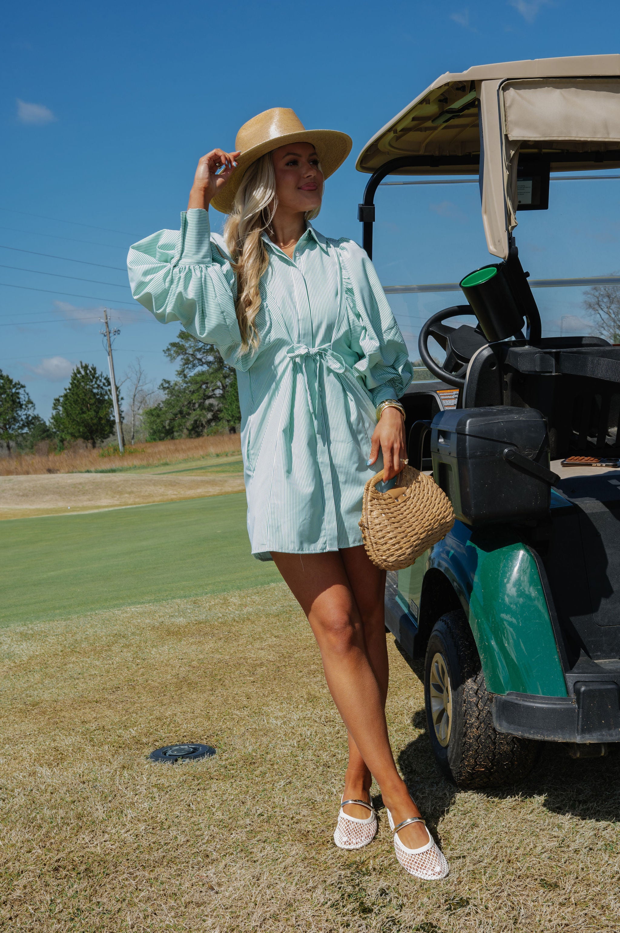 Puff Sleeve Mini Poplin Dress-Green Stripe