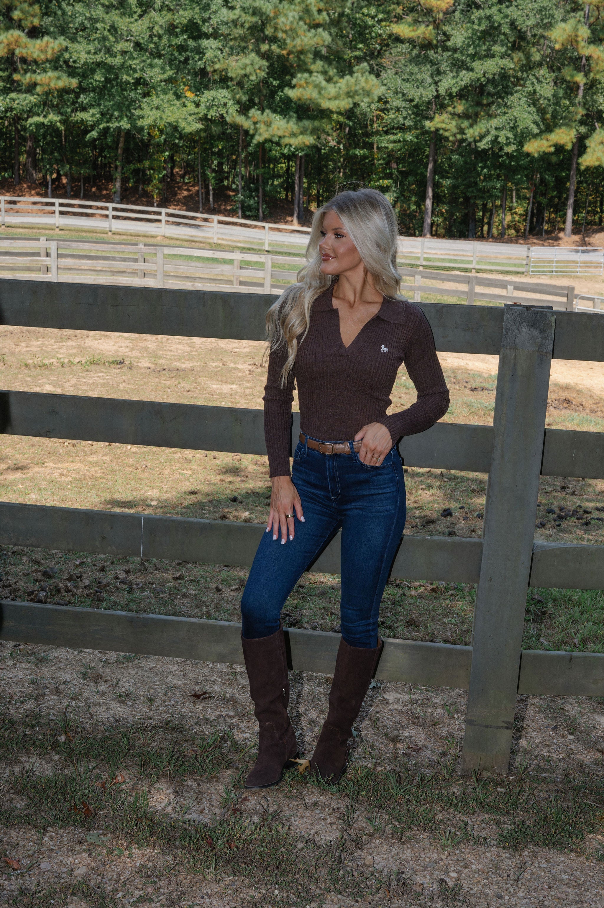 Horse Embroidered Polo-Brown