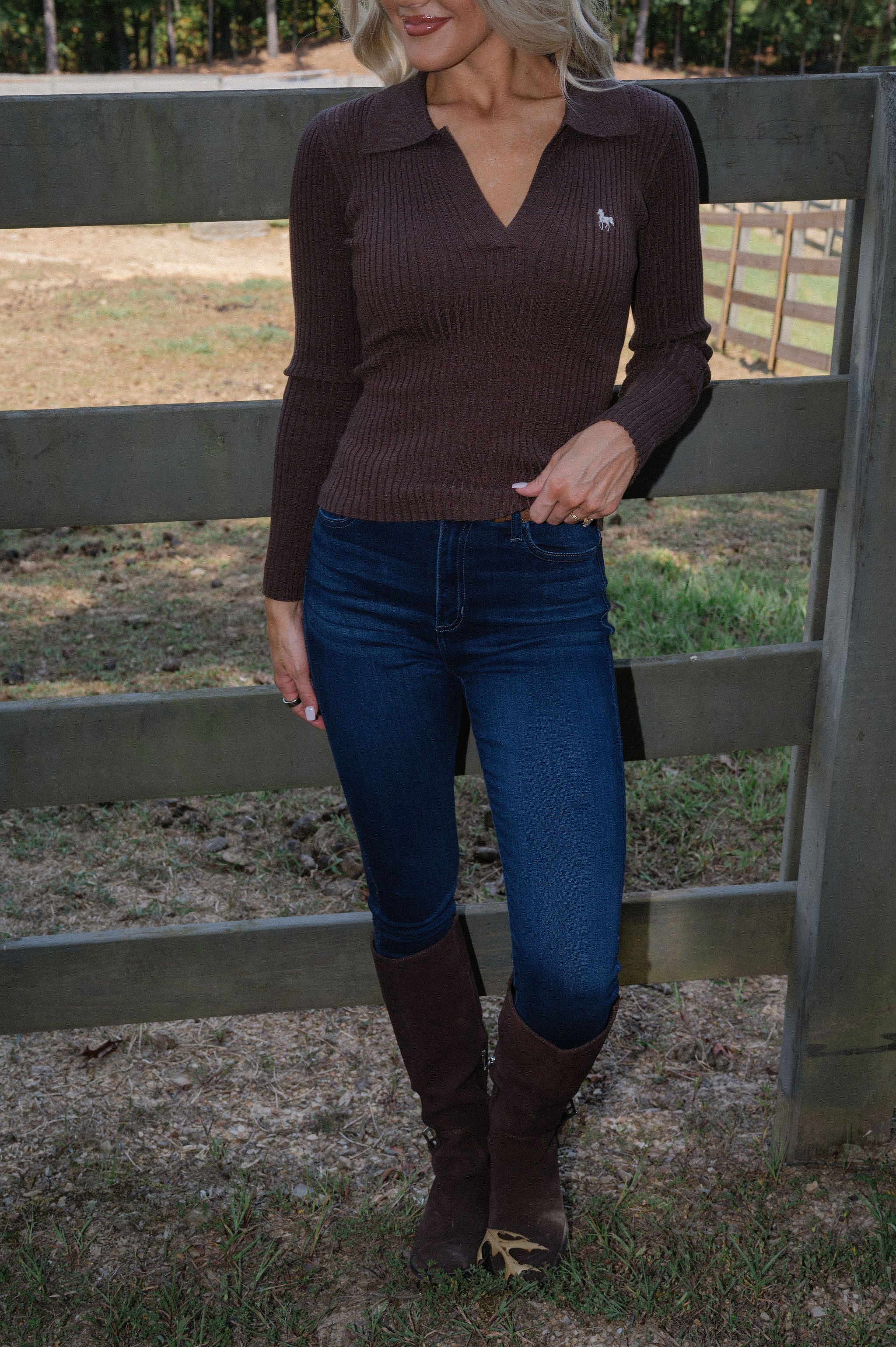 Horse Embroidered Polo-Brown