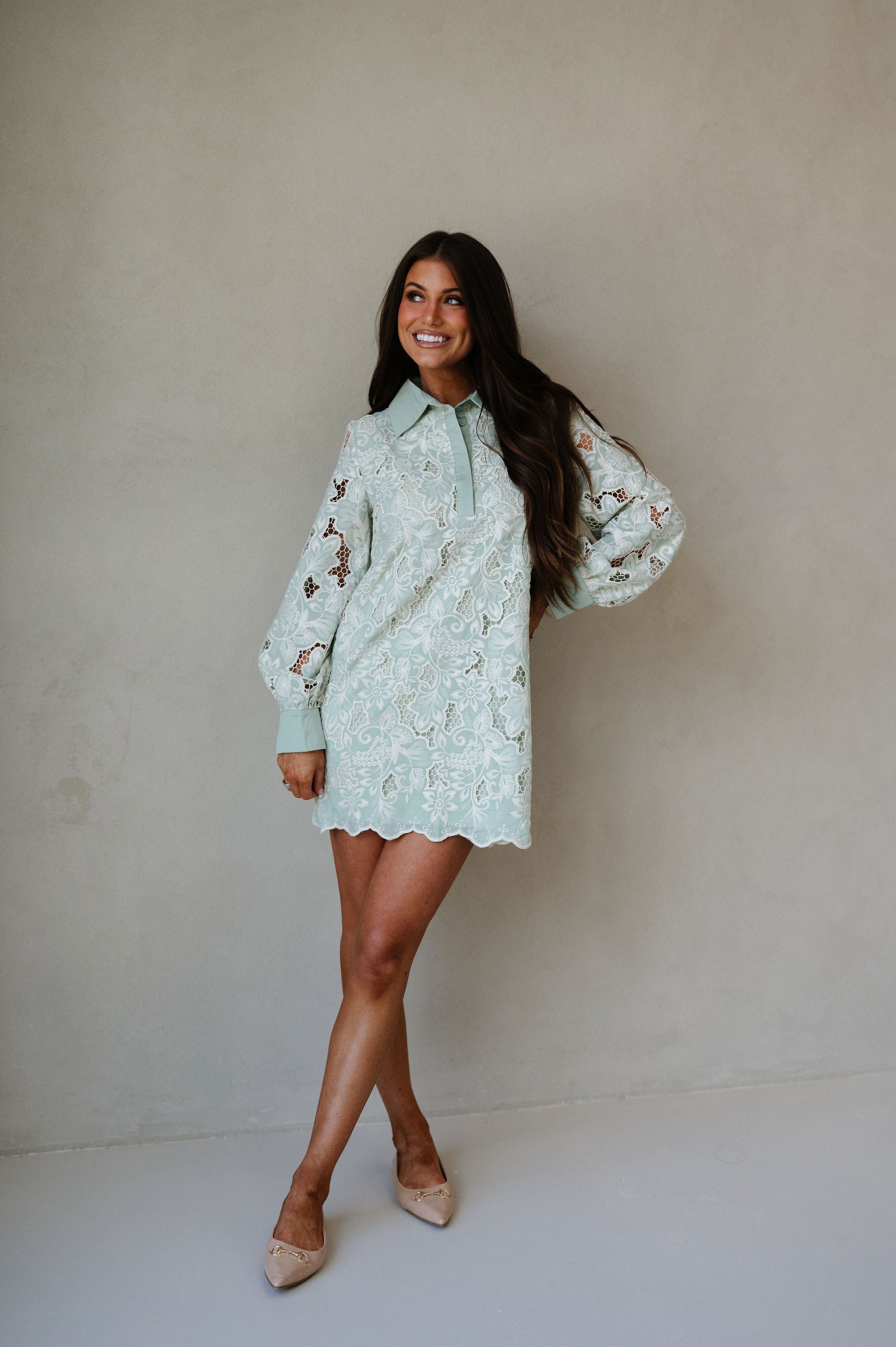Classy Embroidered Eyelet Mini Dress