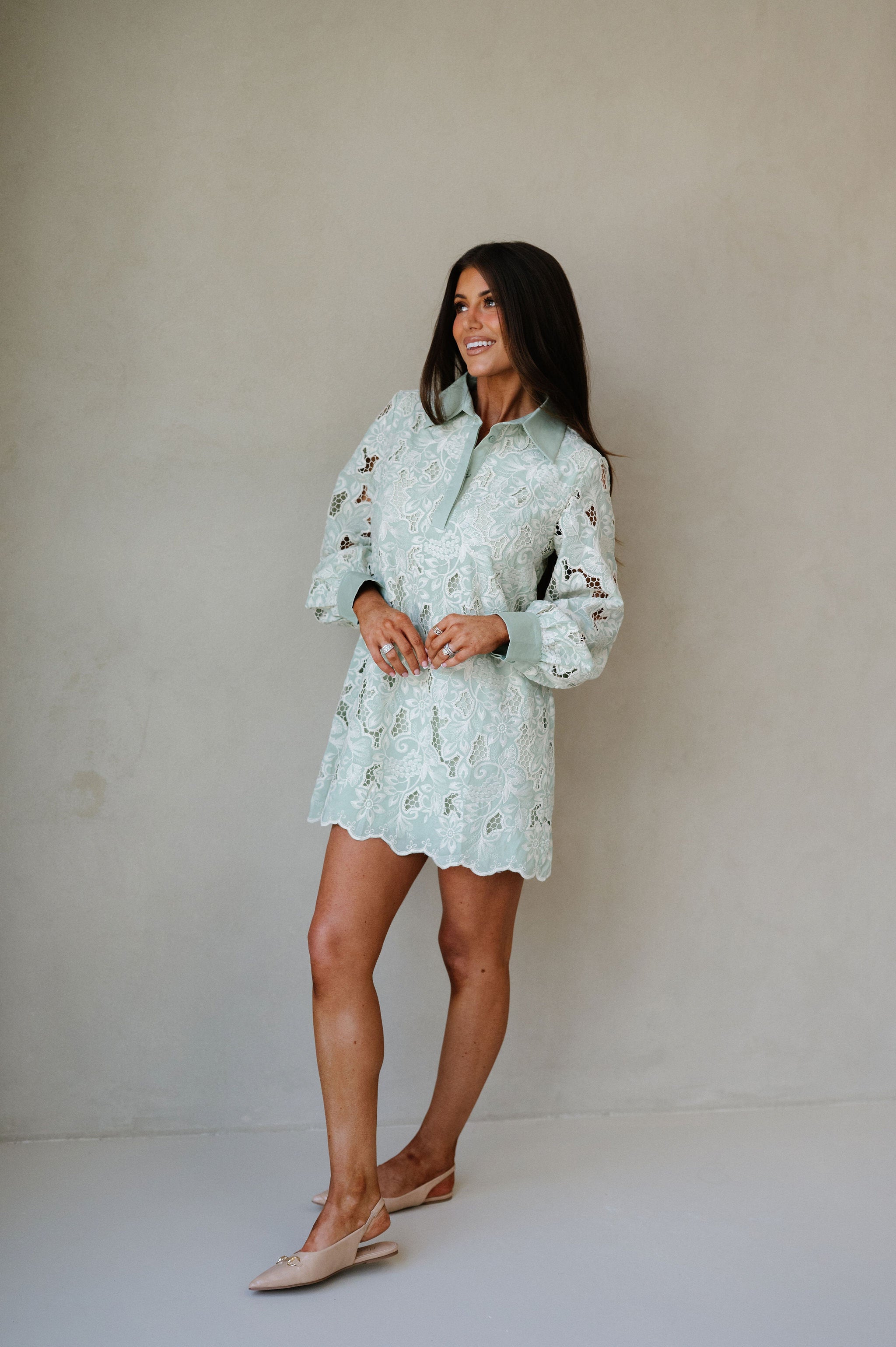 Classy Embroidered Eyelet Mini Dress