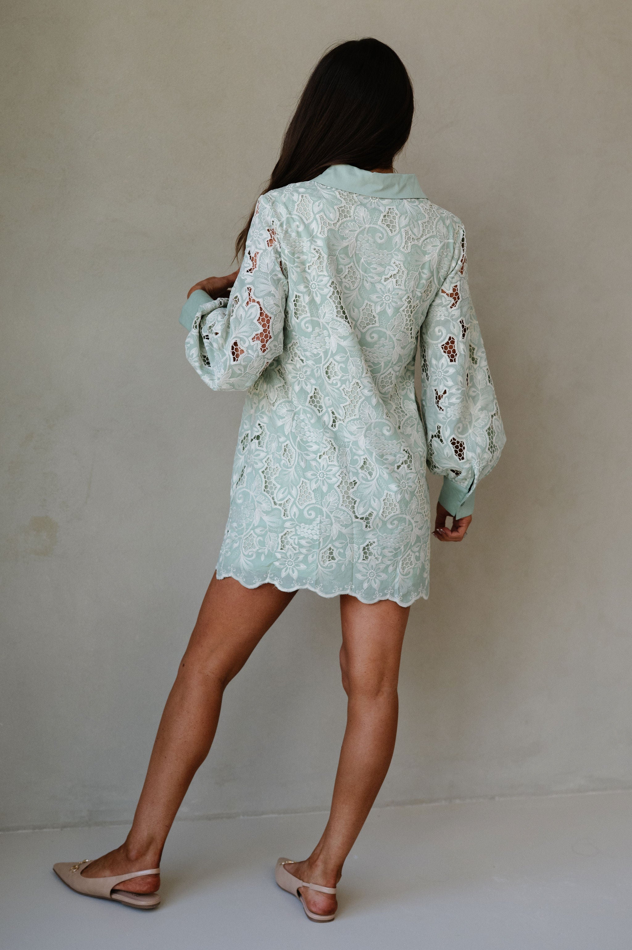 Classy Embroidered Eyelet Mini Dress