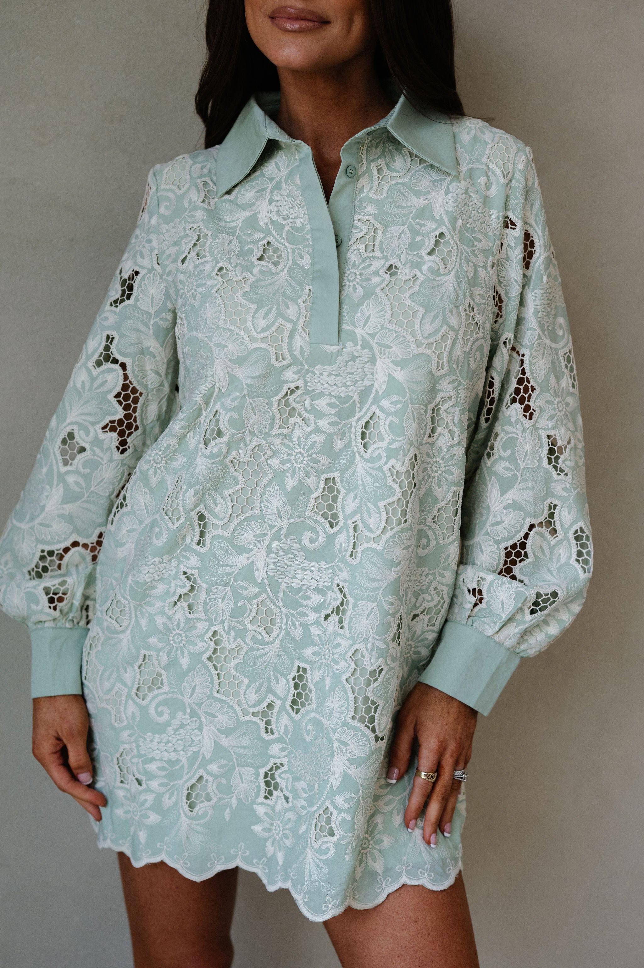 Classy Embroidered Eyelet Mini Dress