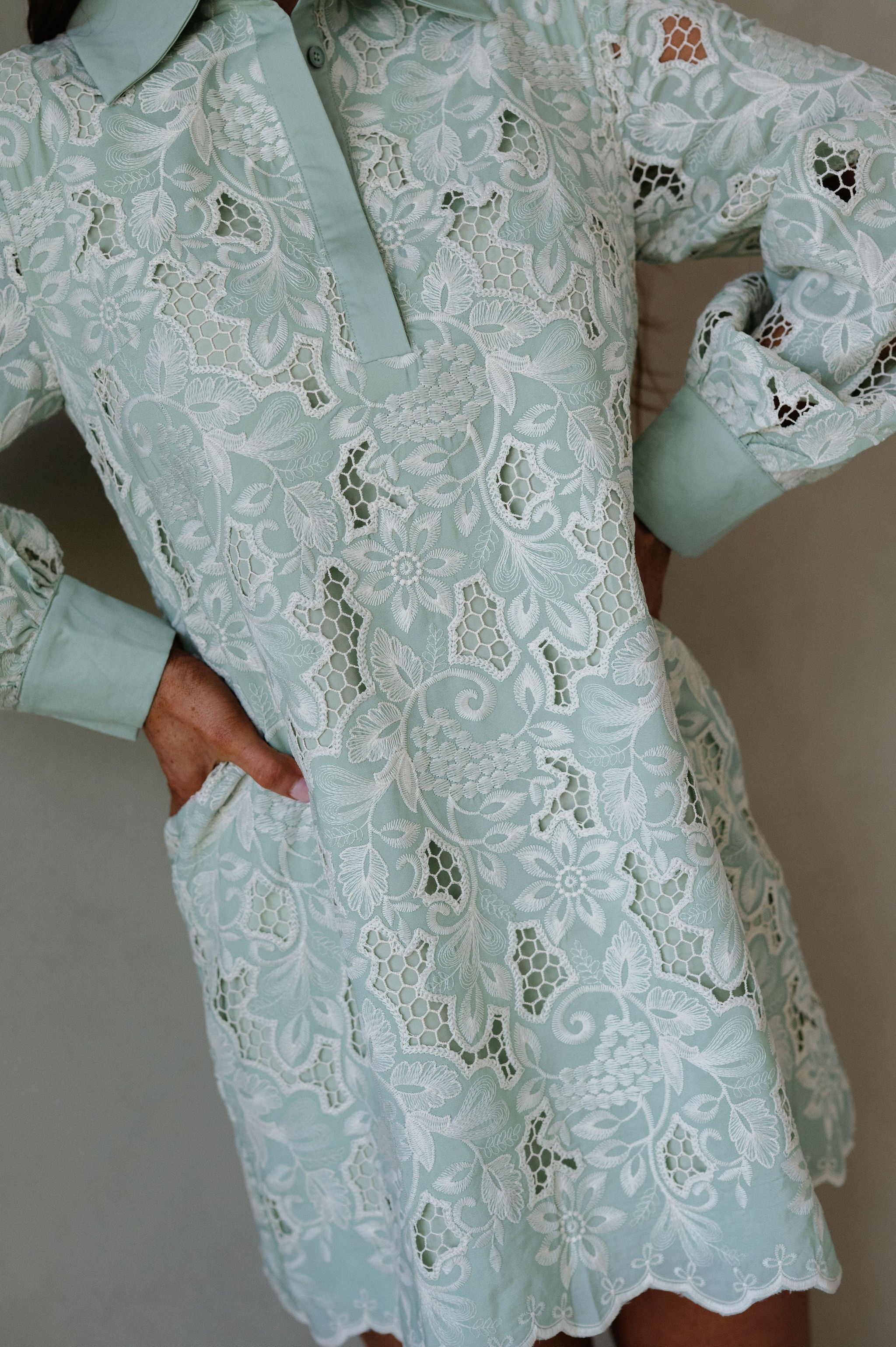 Classy Embroidered Eyelet Mini Dress