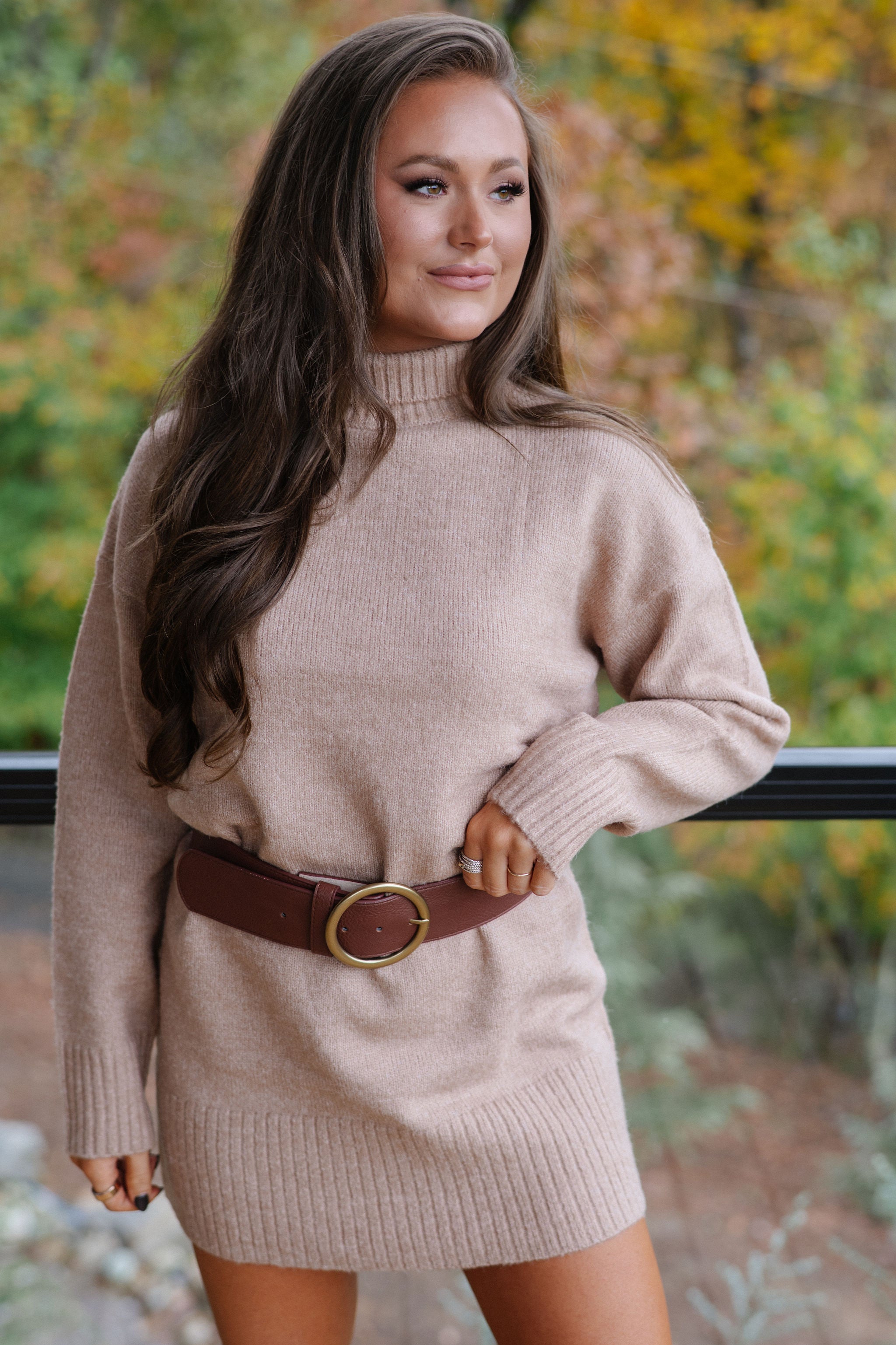 Holland Sweater Dress-Dark Taupe
