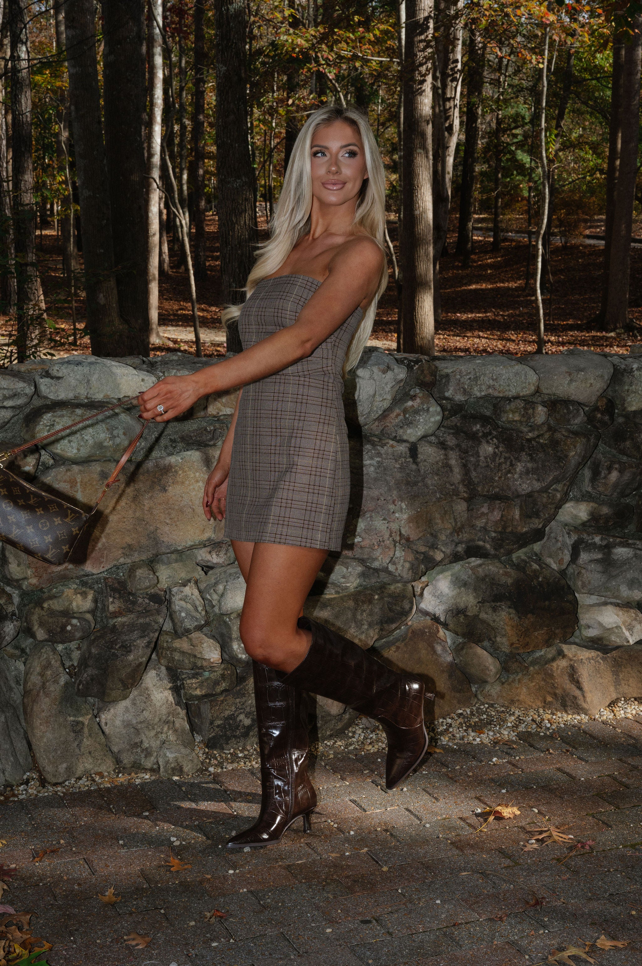 Plaid Brown Mini Dress