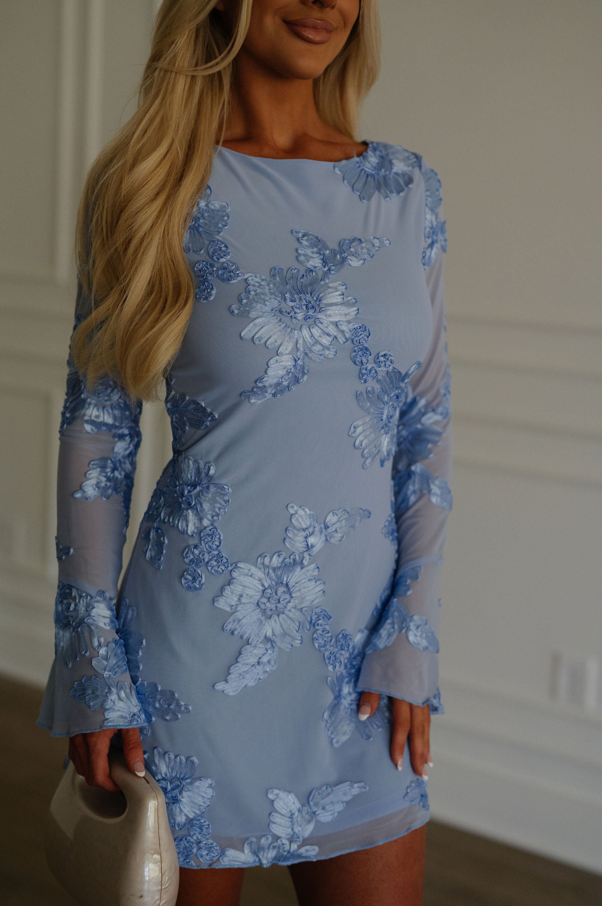 Satin Embroidered Mesh Mini Dress-Baby Blue