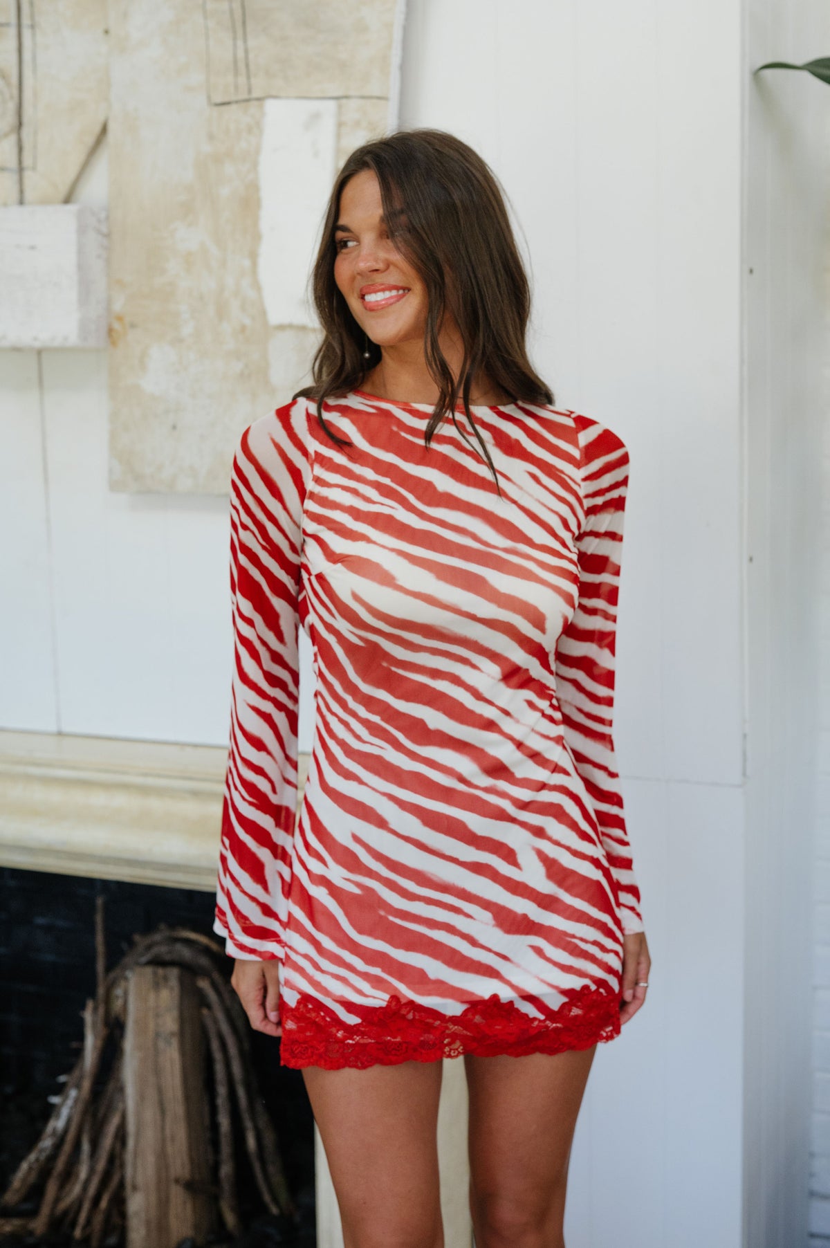 Zebra Mesh Mini Dress-Burnt Red