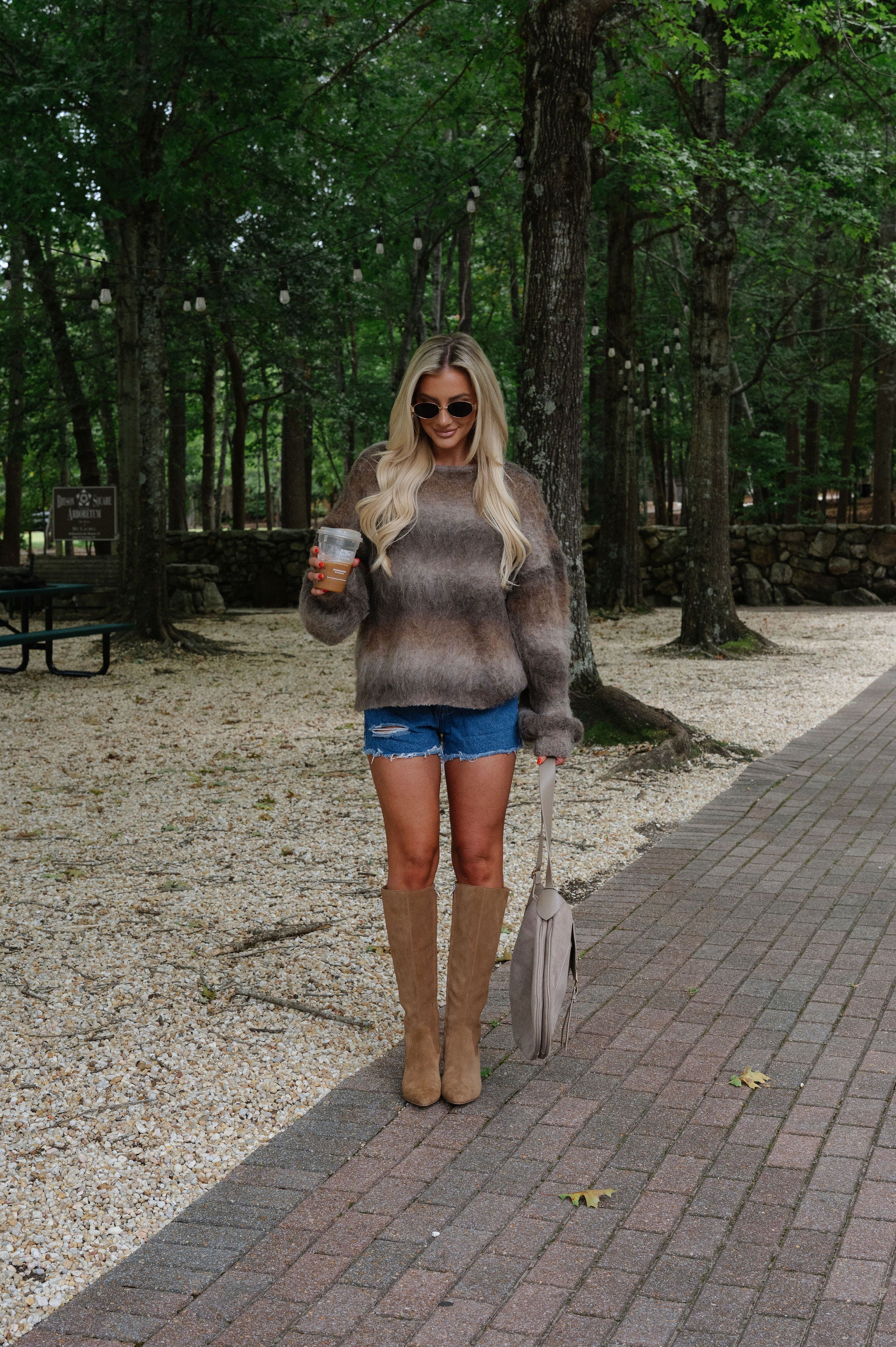 Cozy Ombre Chunky Knit Sweater-Brown/Multi