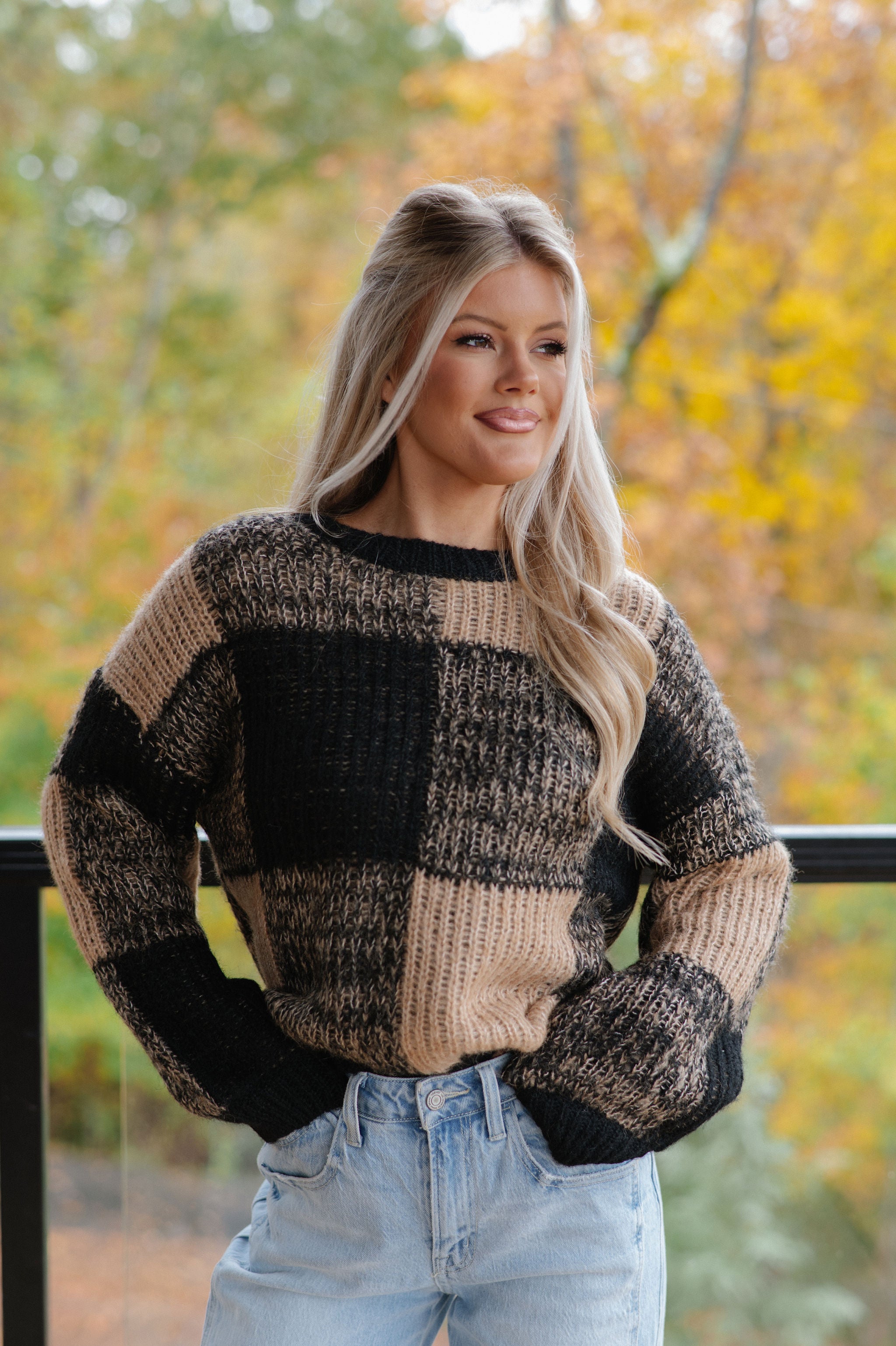 Sam Plaid Sweater-Black/Taupe