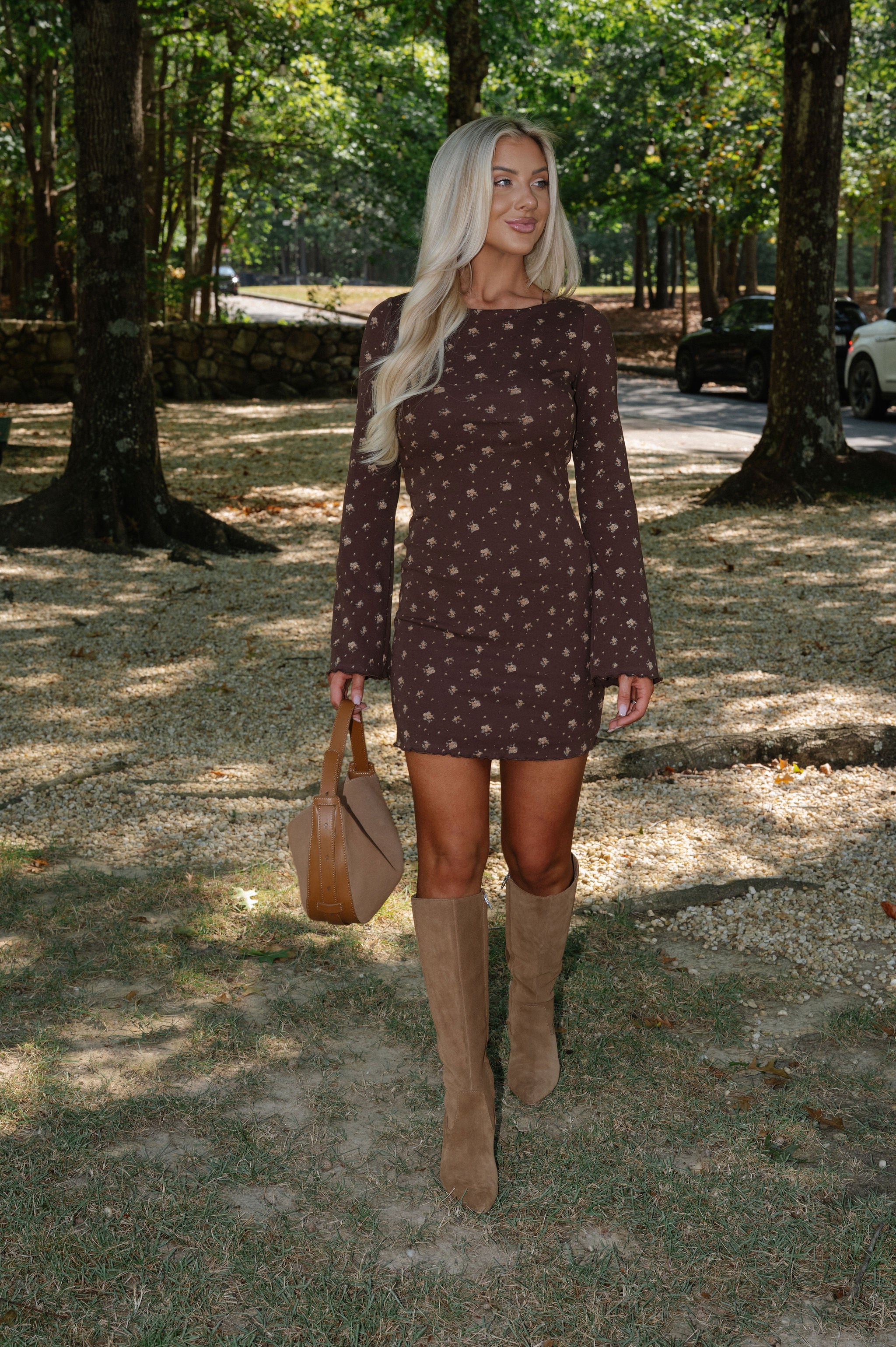 Fiora Dress-Brown Multi