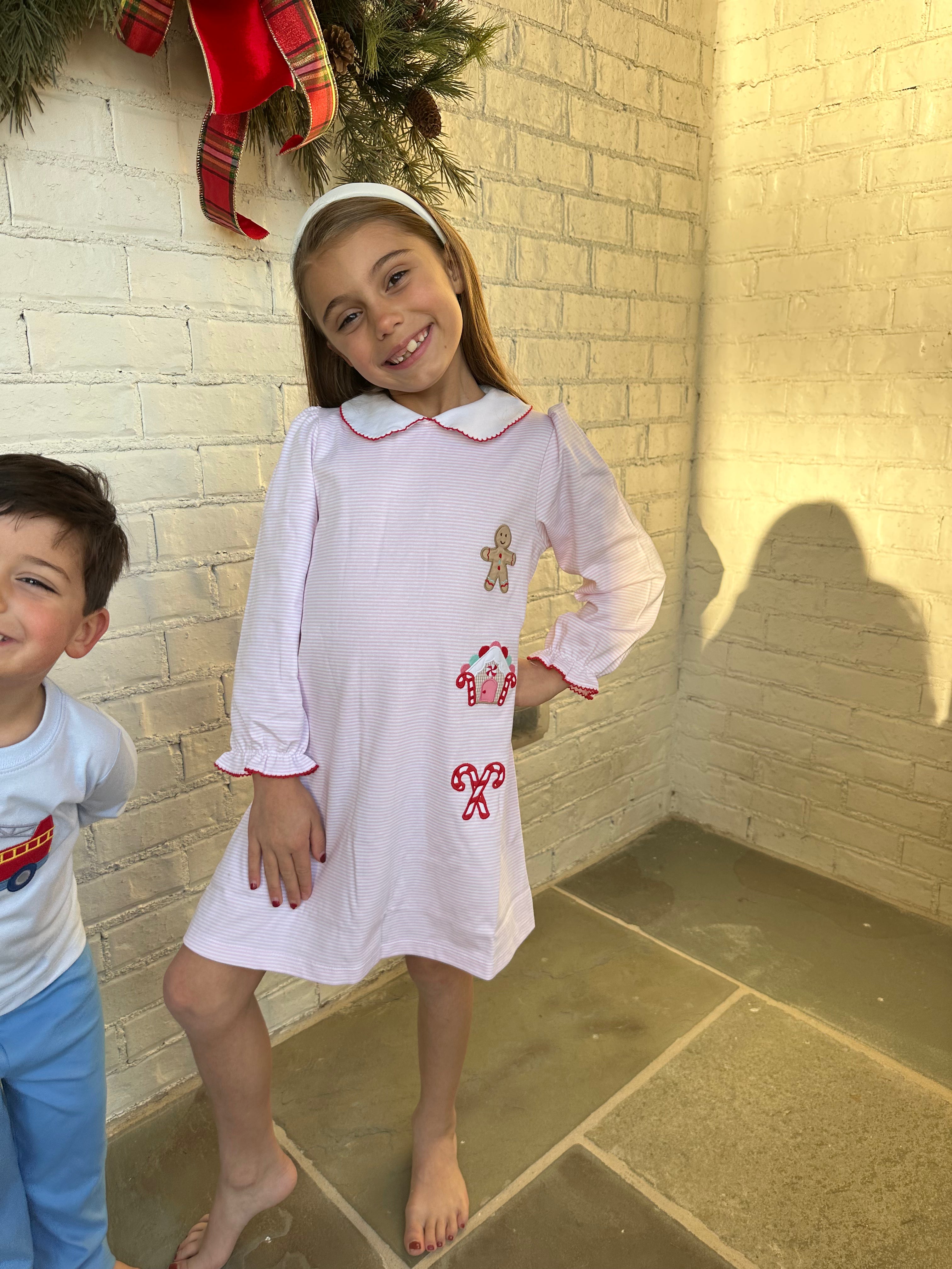 Gingerbread A-Line Dress-Pink