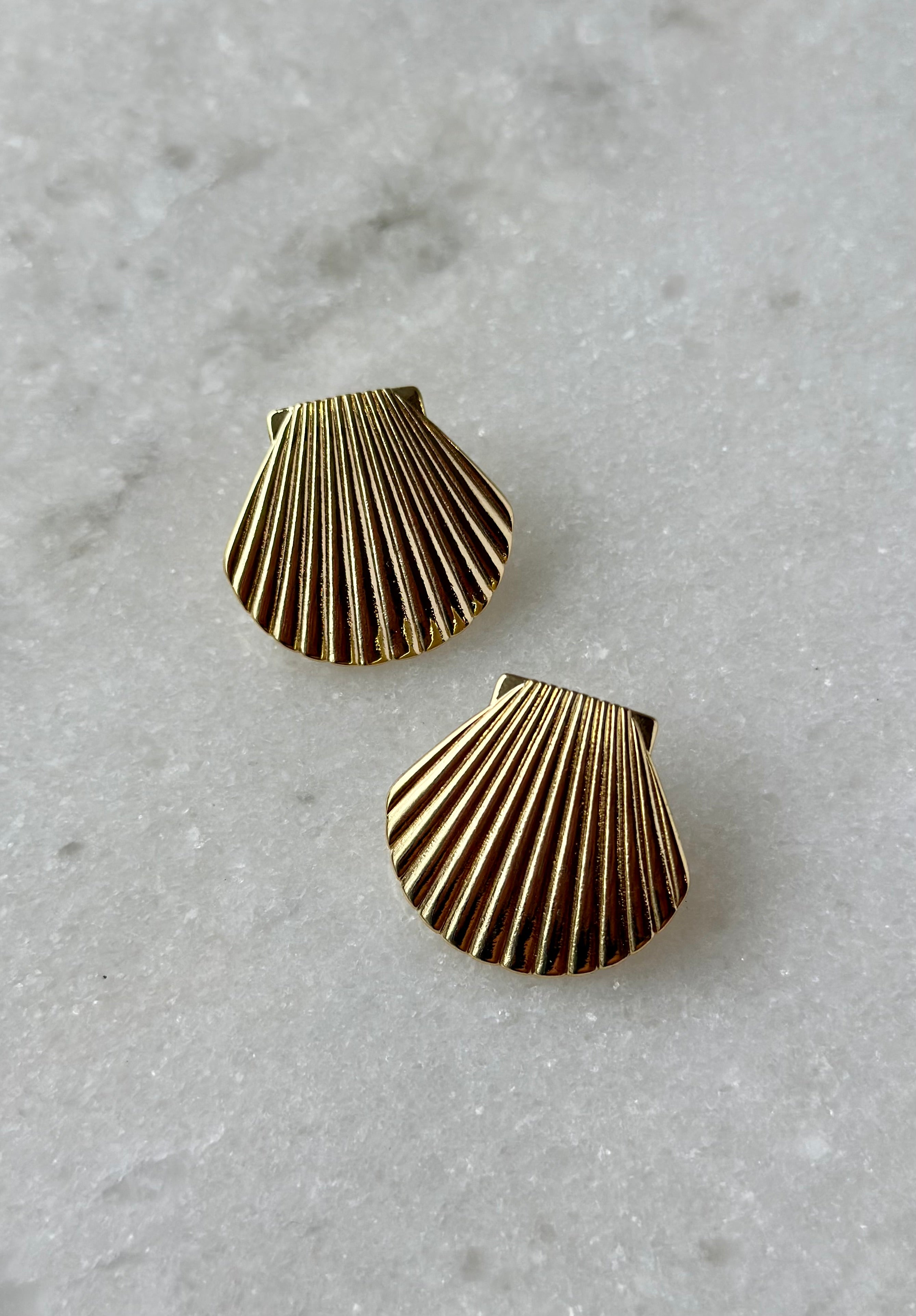 Gold Dipped Seashell Earrings