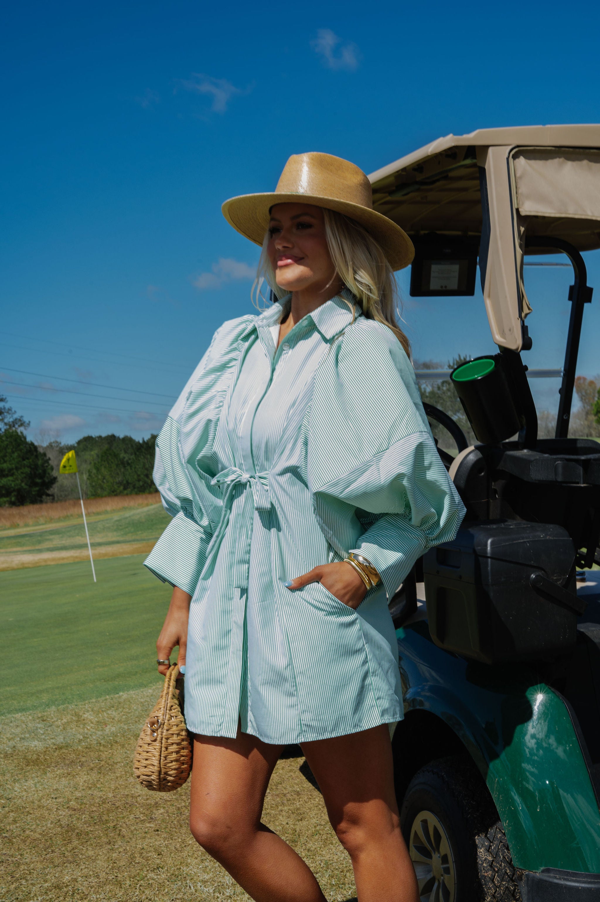 Puff Sleeve Mini Poplin Dress-Green Stripe