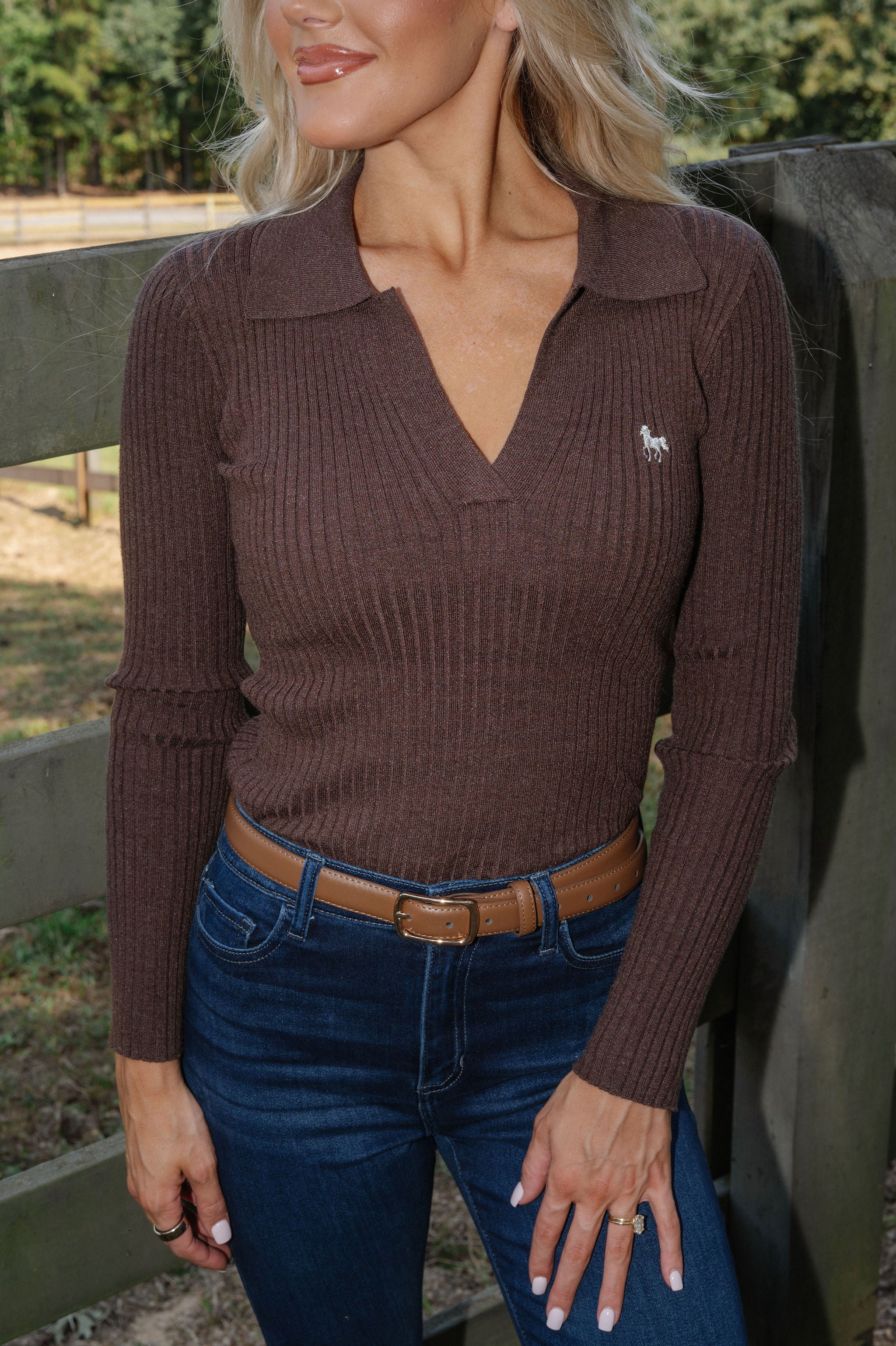 Horse Embroidered Polo-Brown