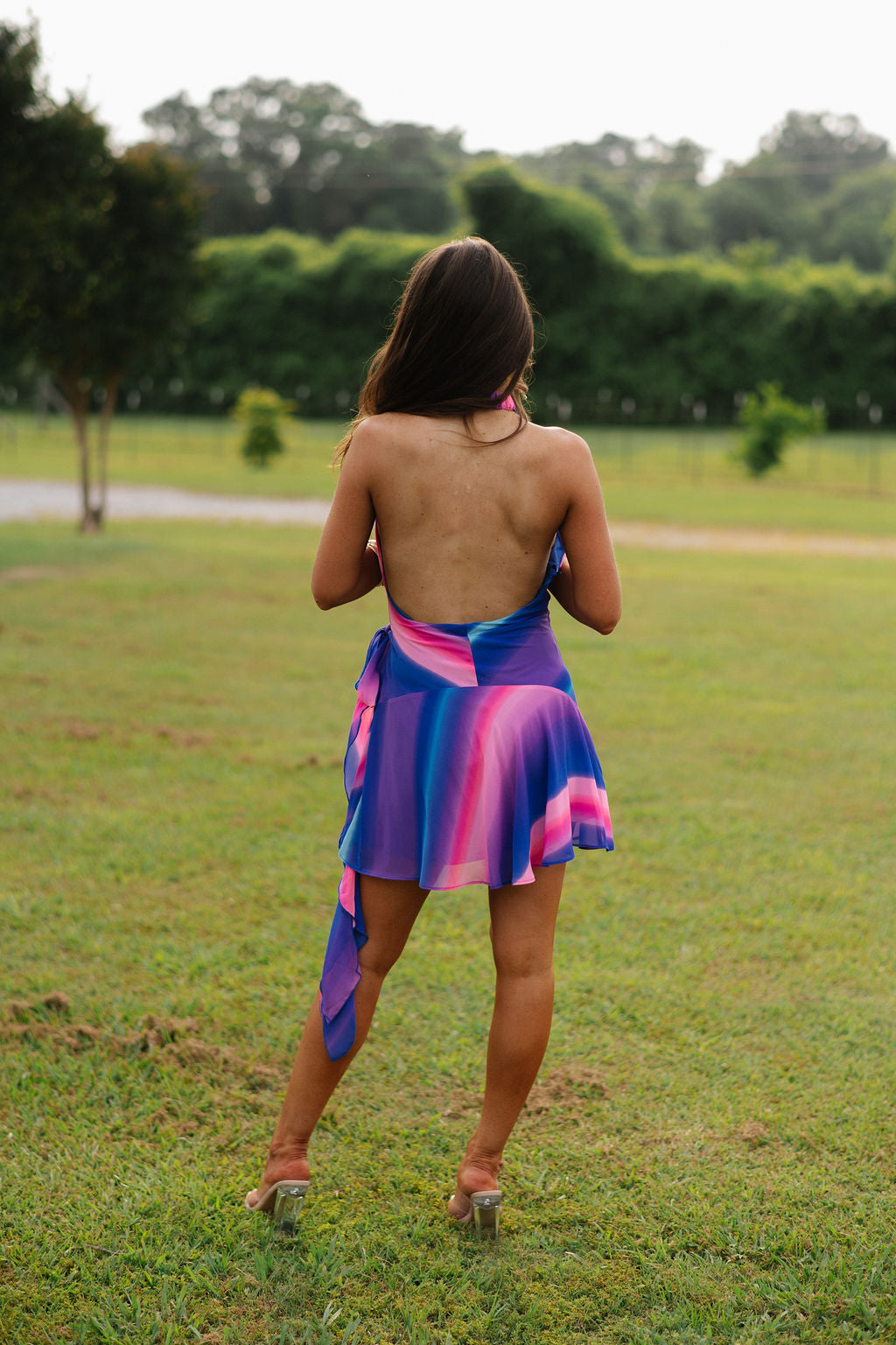 Veronica Mini Dress