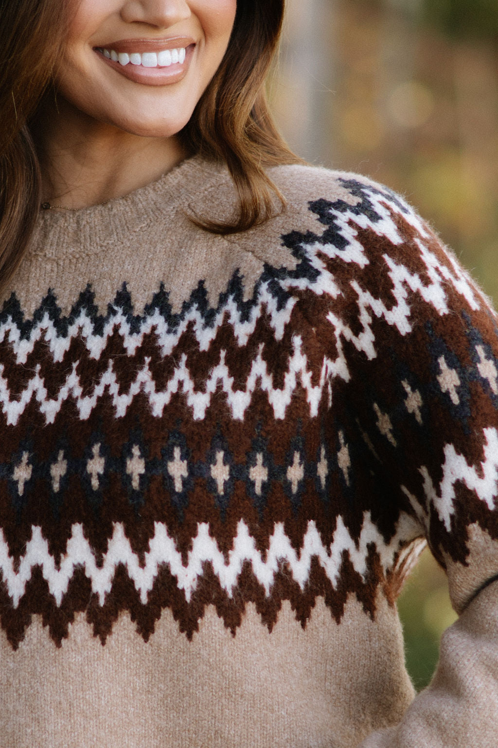 Emilee Crew Neck Sweater-Tan/Chocolate