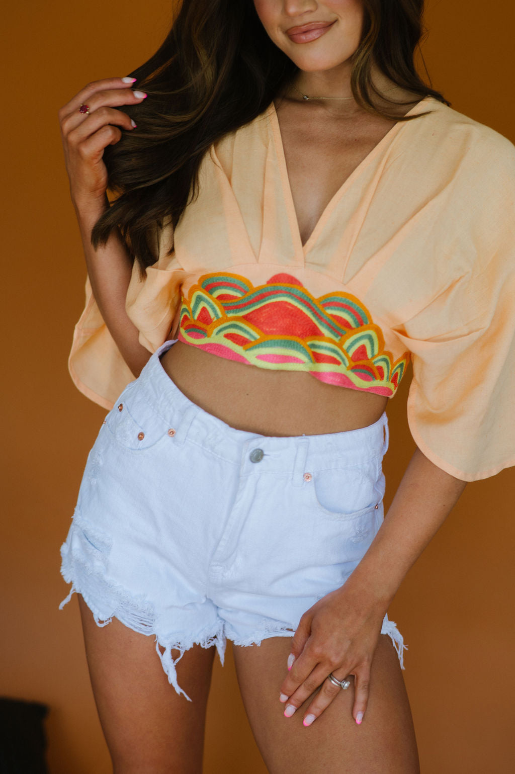 Baylor Embroidered Crop Top