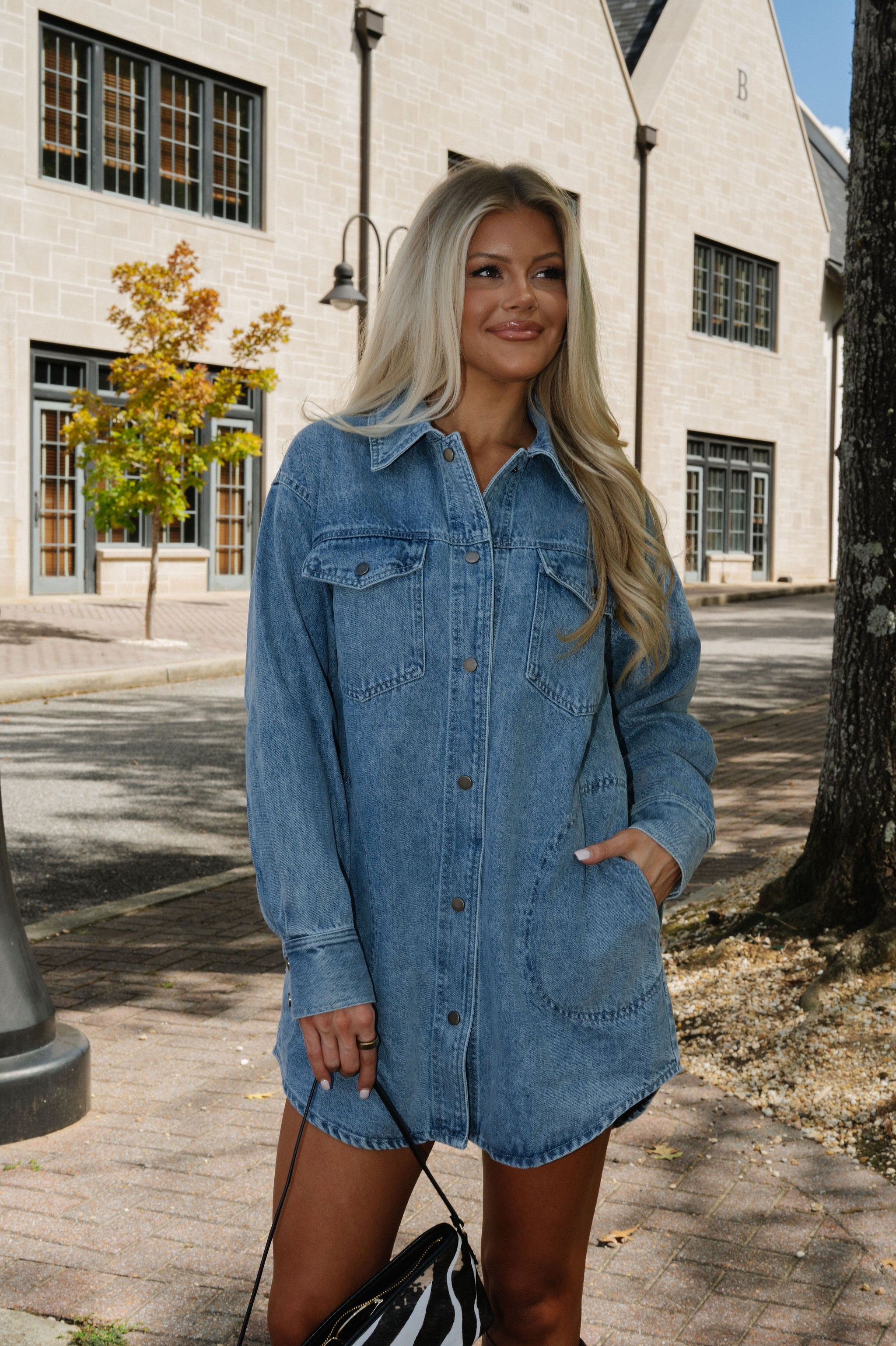 Bruce Washed Denim Dress-Light Wash