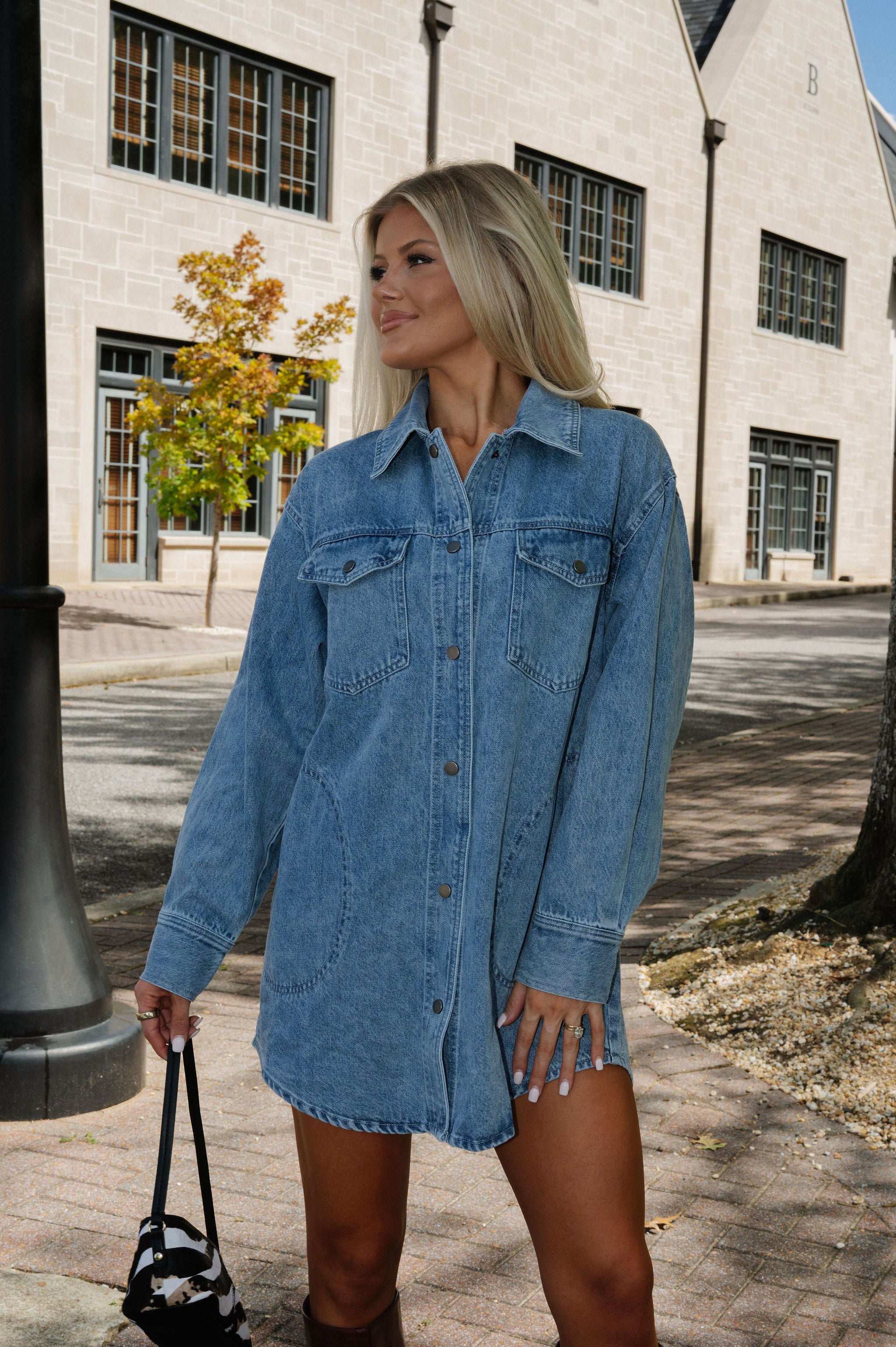 Bruce Washed Denim Dress-Light Wash