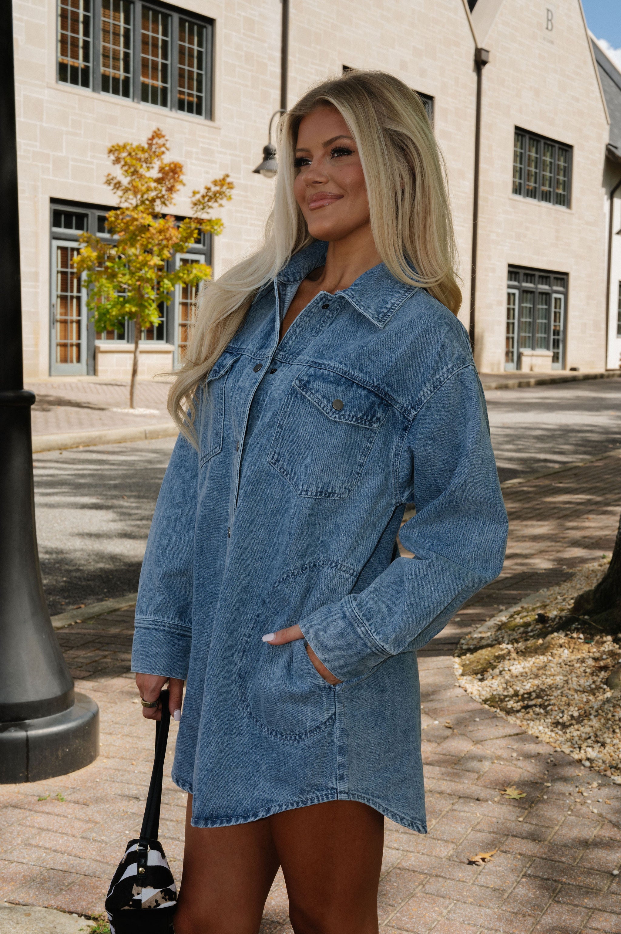 Bruce Washed Denim Dress-Light Wash