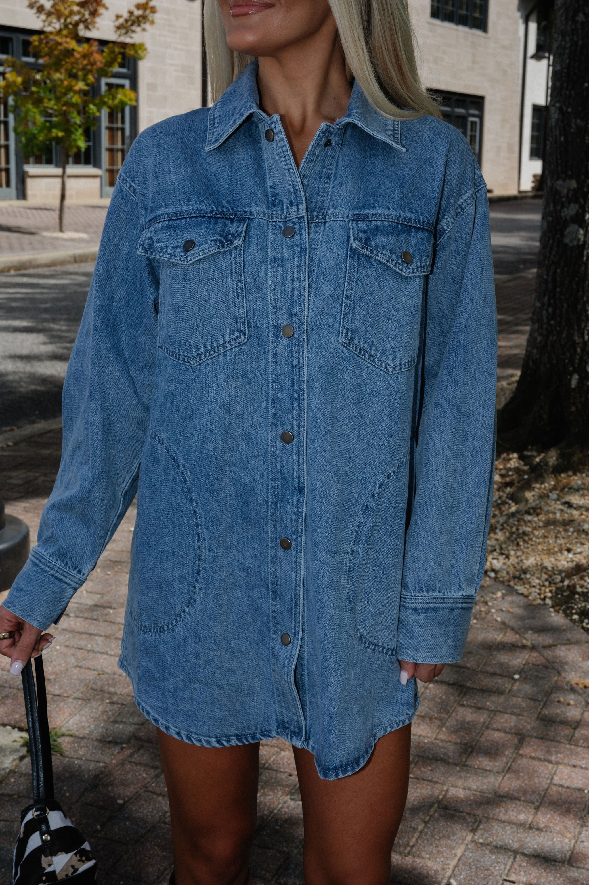 Bruce Washed Denim Dress-Light Wash