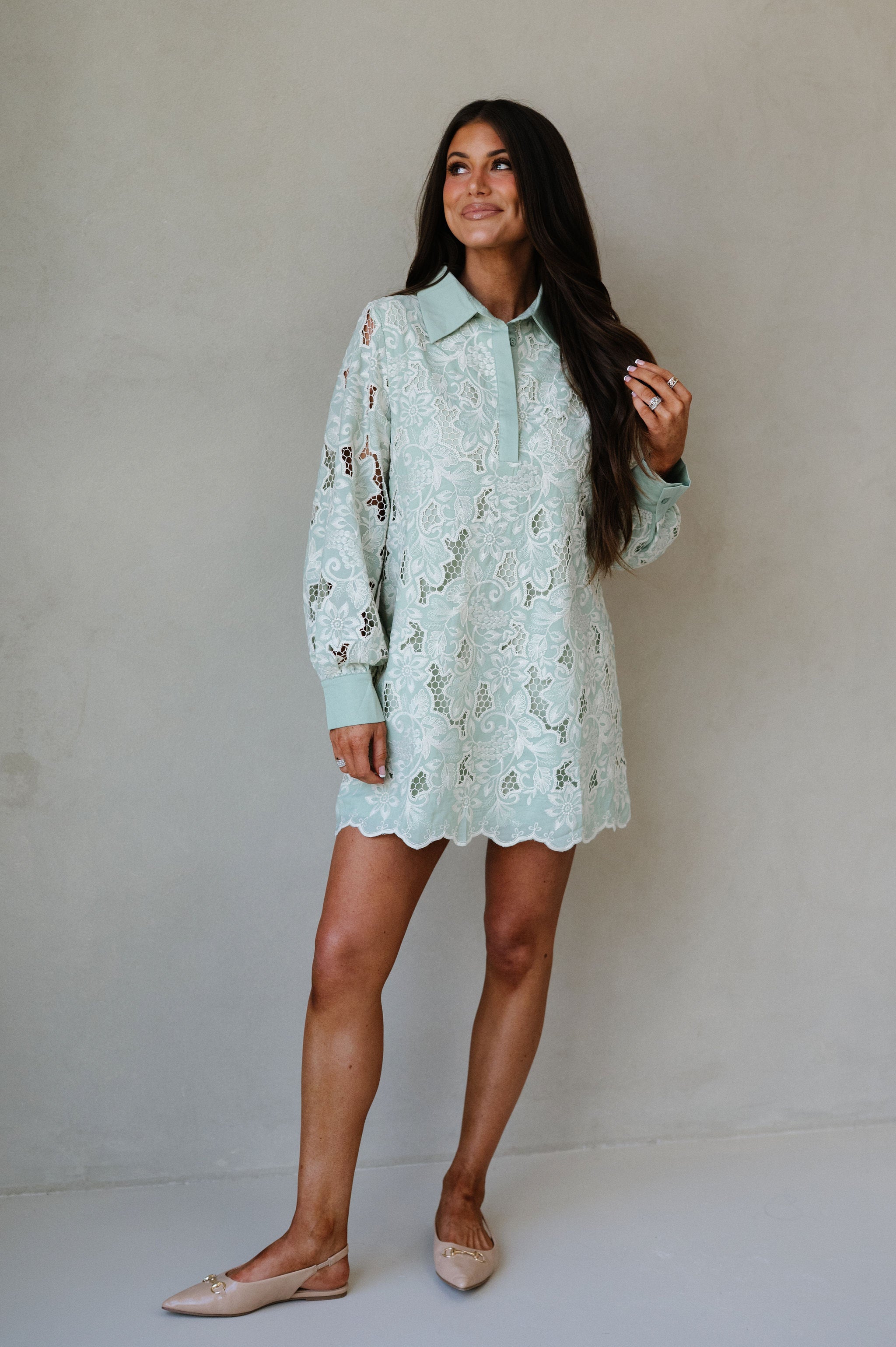 Classy Embroidered Eyelet Mini Dress