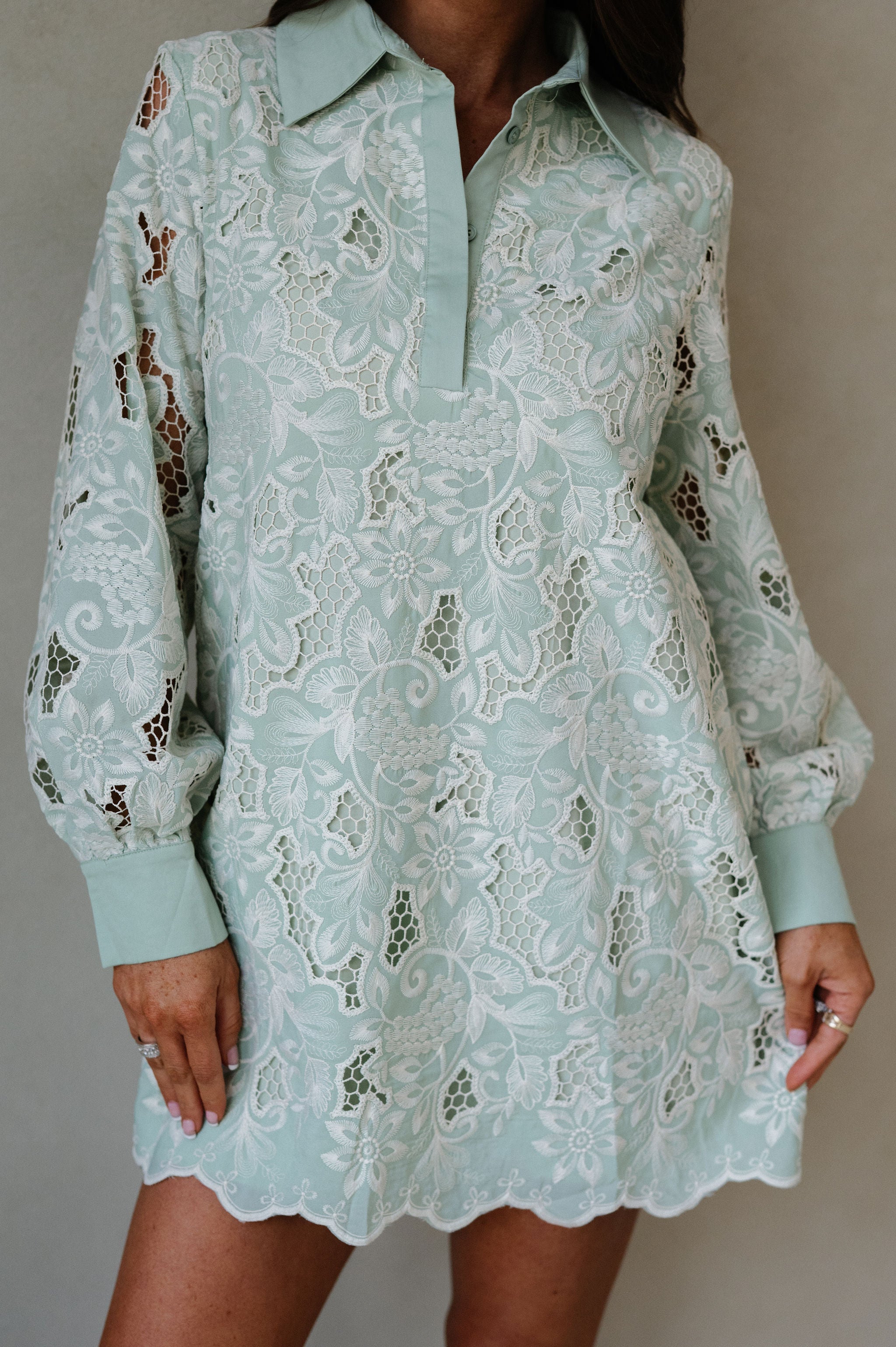 Classy Embroidered Eyelet Mini Dress