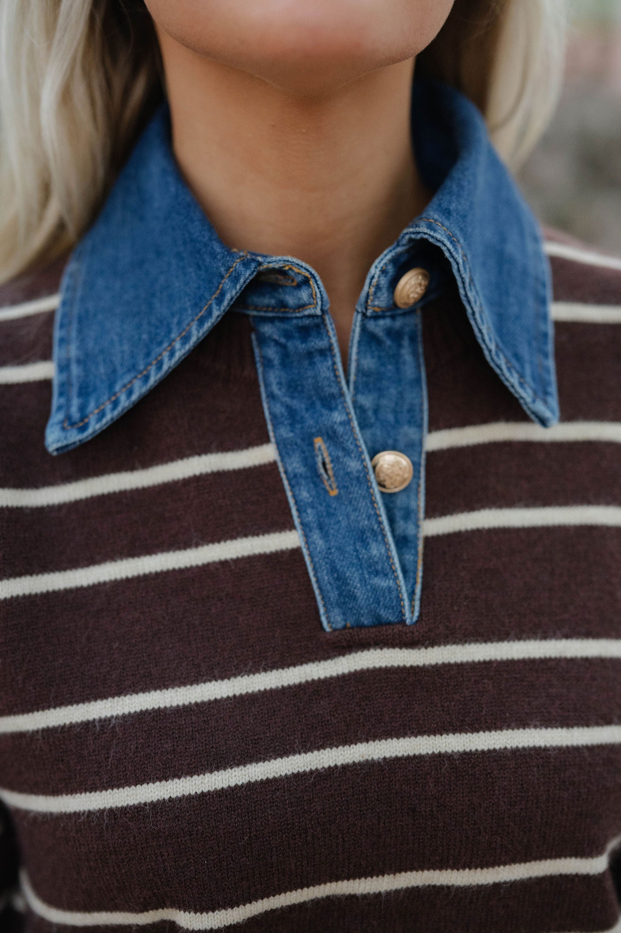 Charlie Stripe Denim Combo Sweater-Brown/Oatmeal