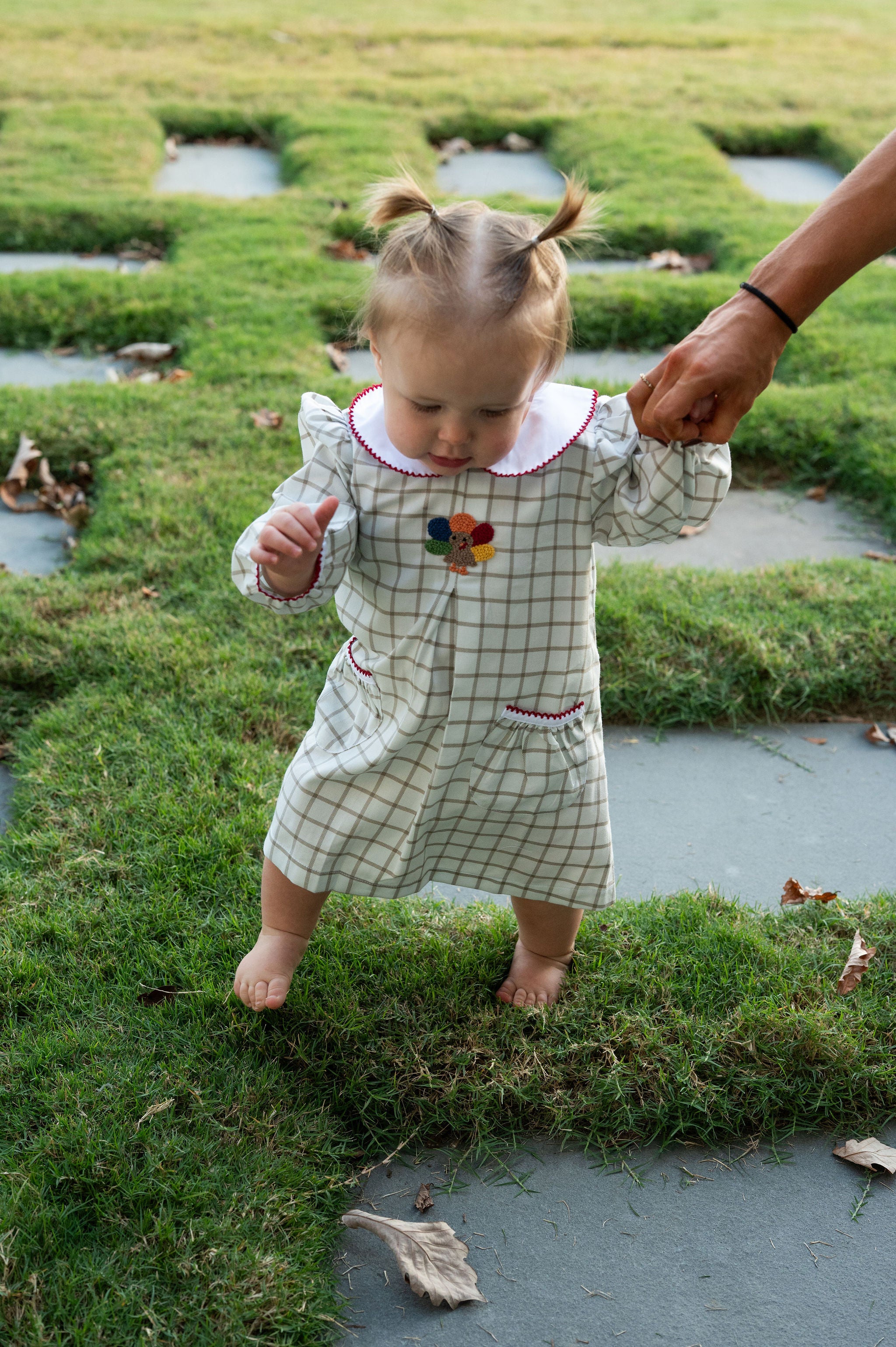 Turkey Time Pleat Collared Dress