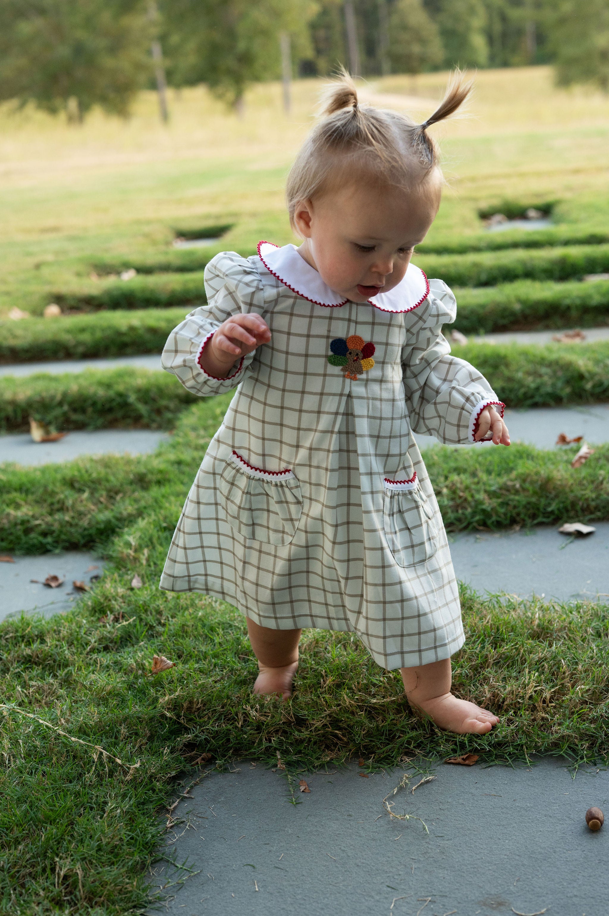 Turkey Time Pleat Collared Dress