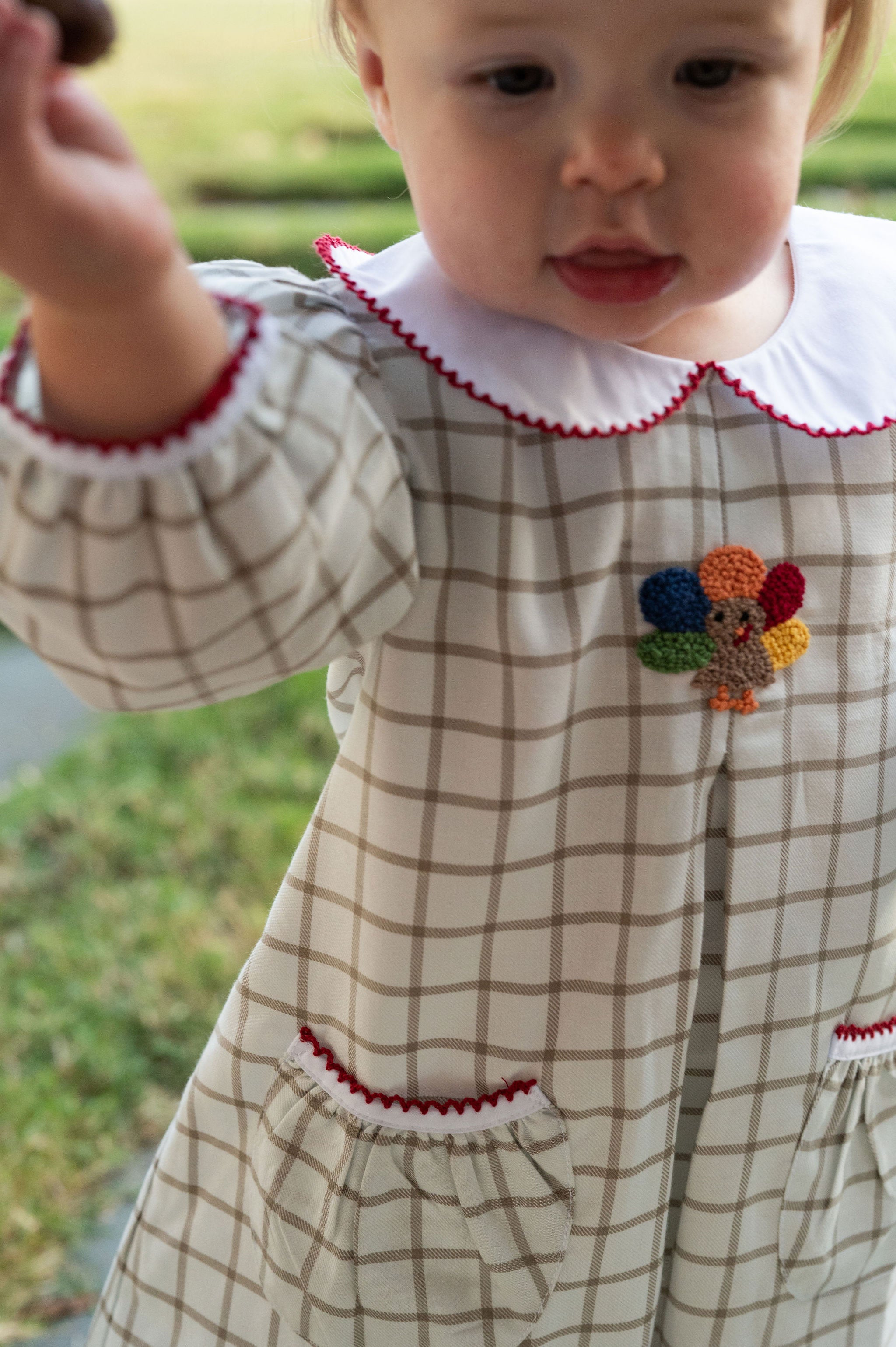 Turkey Time Pleat Collared Dress