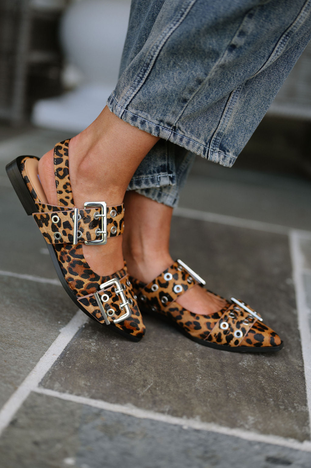 Graya Flat-Leopard