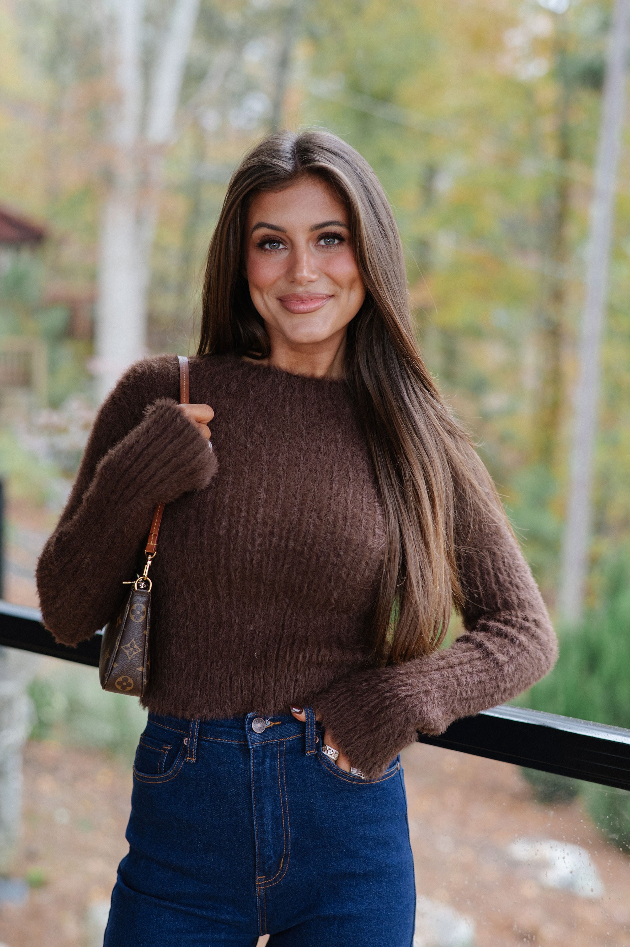 Francie Fuzzy Cropped Sweater-Brown