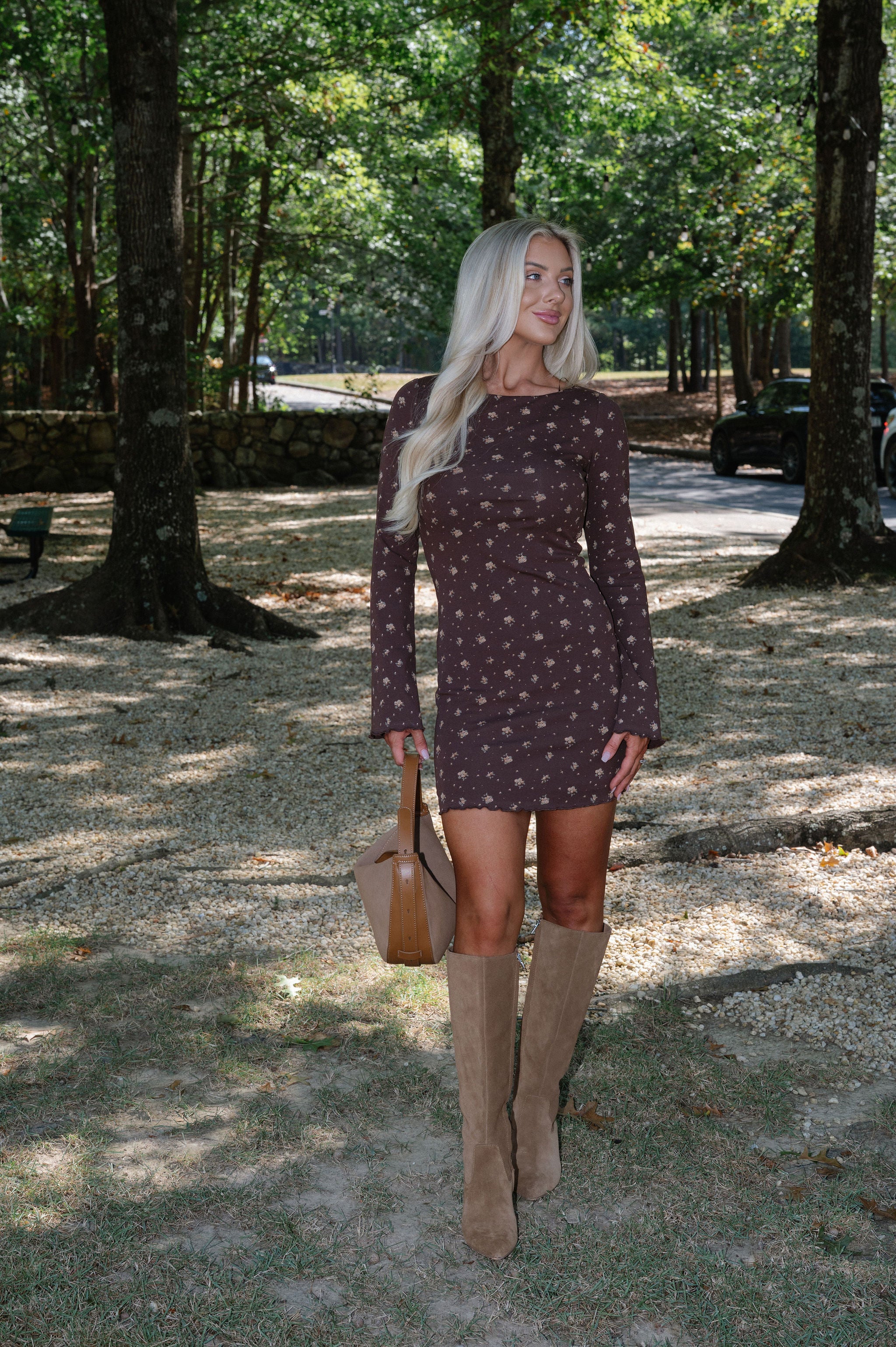 Fiora Dress-Brown Multi