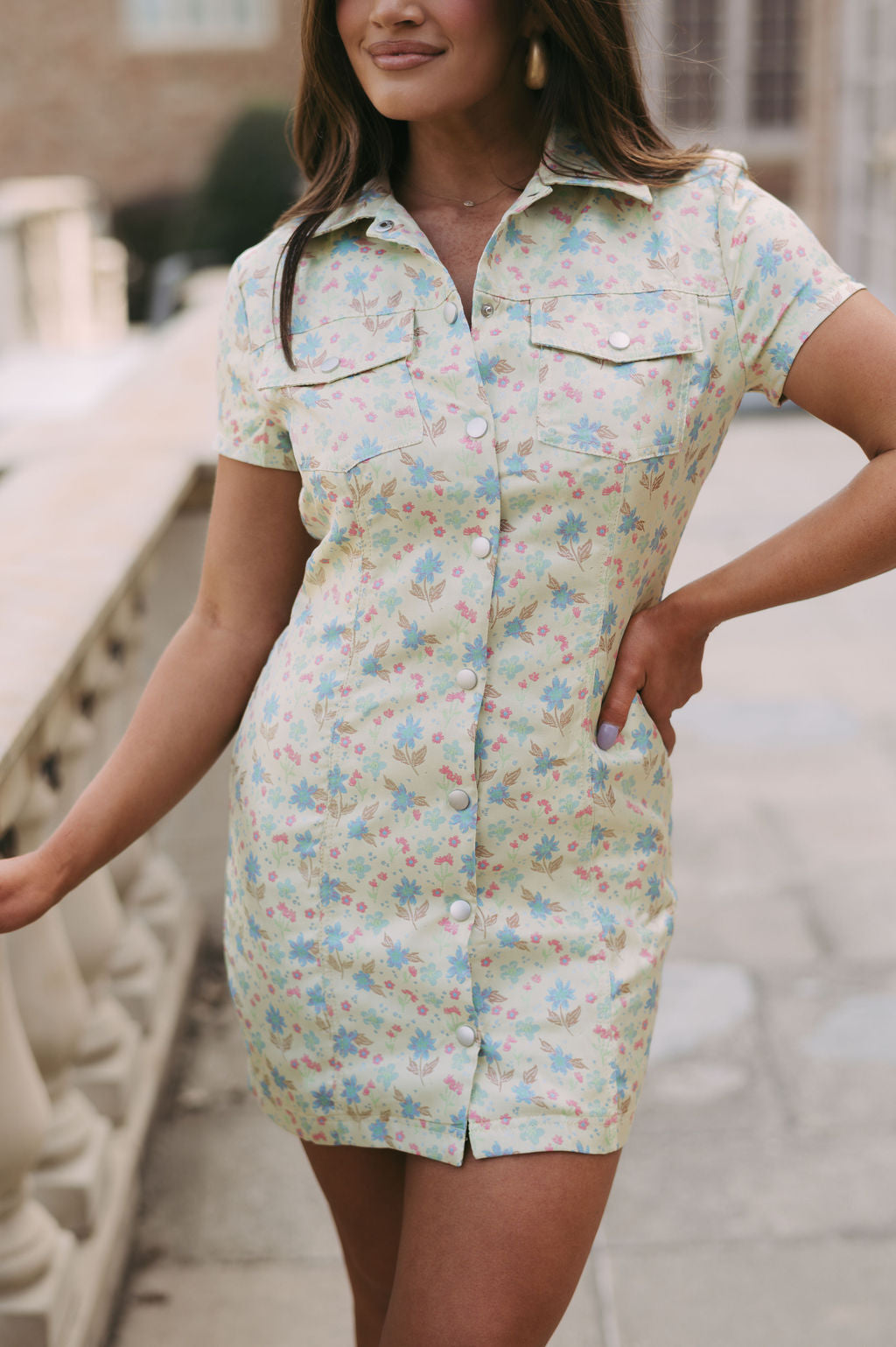 Nellie Floral Button Down Dress- Lime Mix