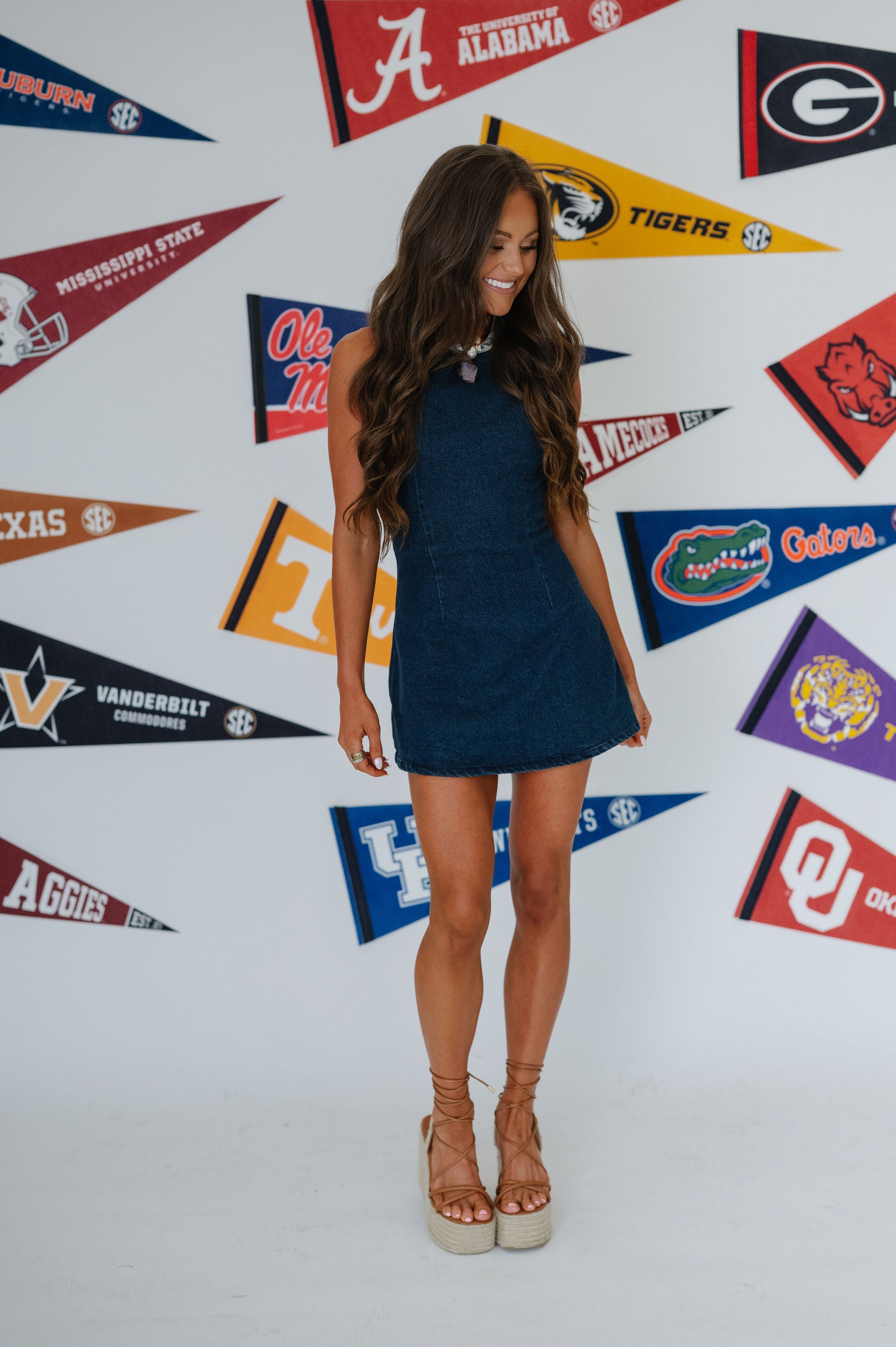 Brighton Denim Mini Dress