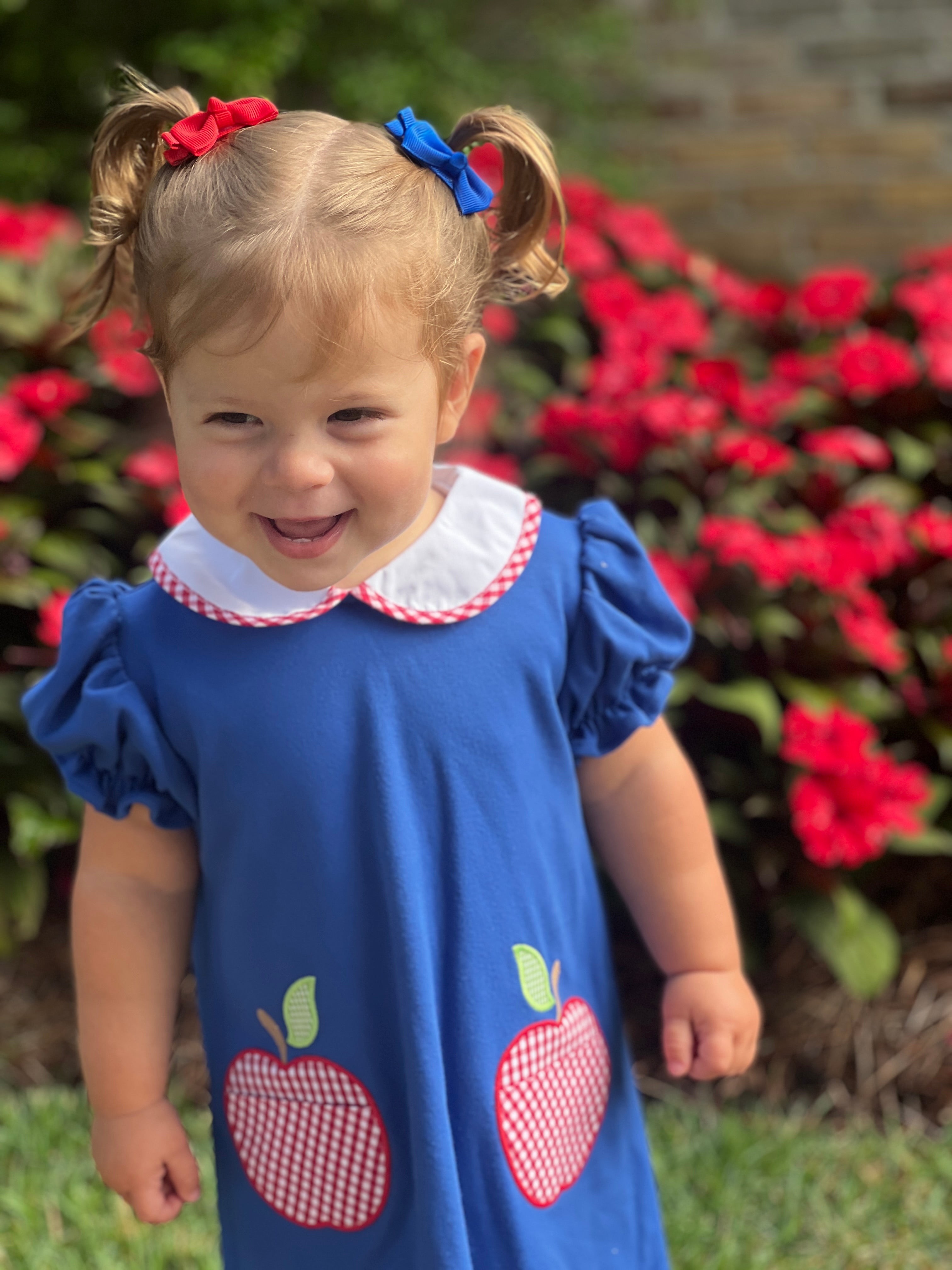 Apple Dress-Royal Blue Knit